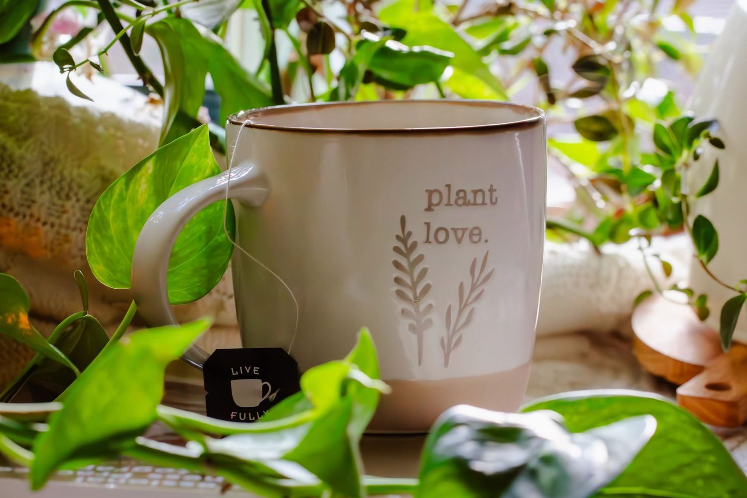 White ceramic planter pots with botanical designs sit among lush green leaves and plants in a cozy home garden setting. Botany photography