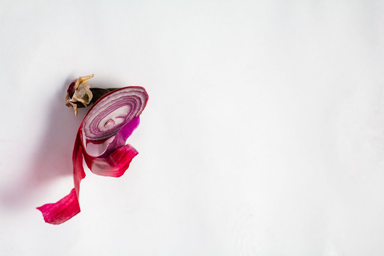 A bright red onion unfolds in a delicate spiral pattern against a soft white background. Set design, food and beverage photography.