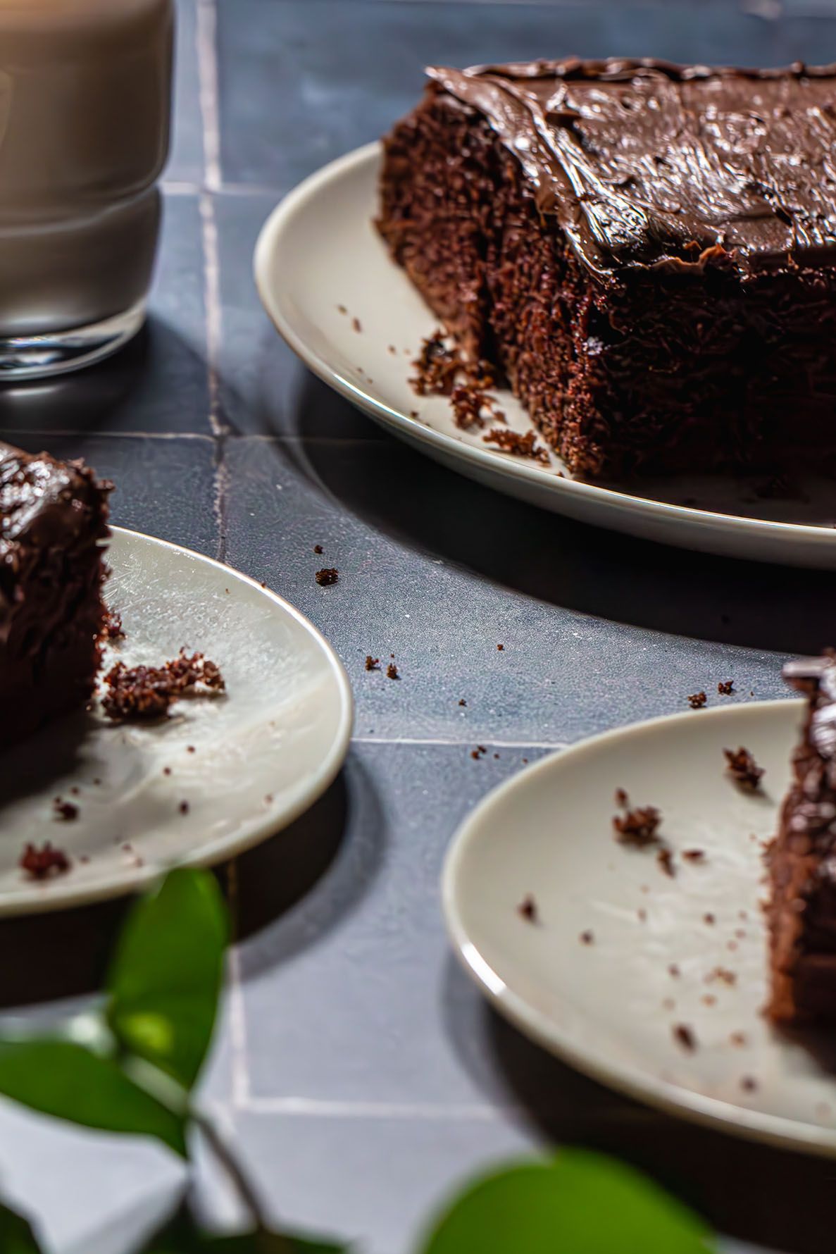 Slices of rich chocolate cake served on white plates with green leaves in the foreground on a gray surface. B. Steele Images, food photograp