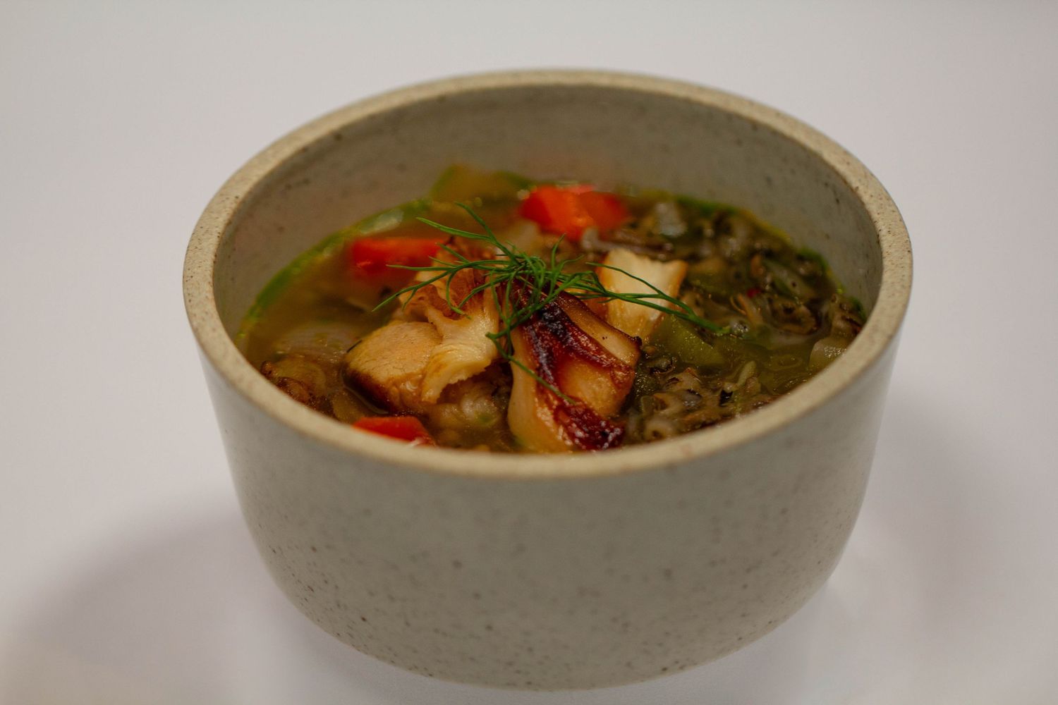 Vegan soup with lion's mane mushrooms, orange carrots and herbs served in a cream ceramic bowl on white background.