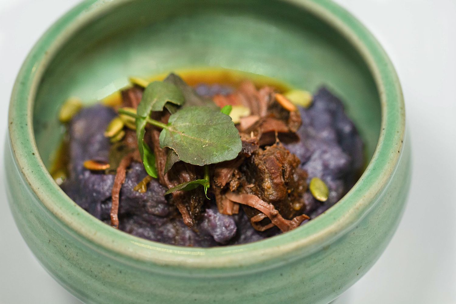 A bowl of braised bison mush topped with a green leafy garnish in a green ceramic bowl on a white background. B. Steele Images, food photogr