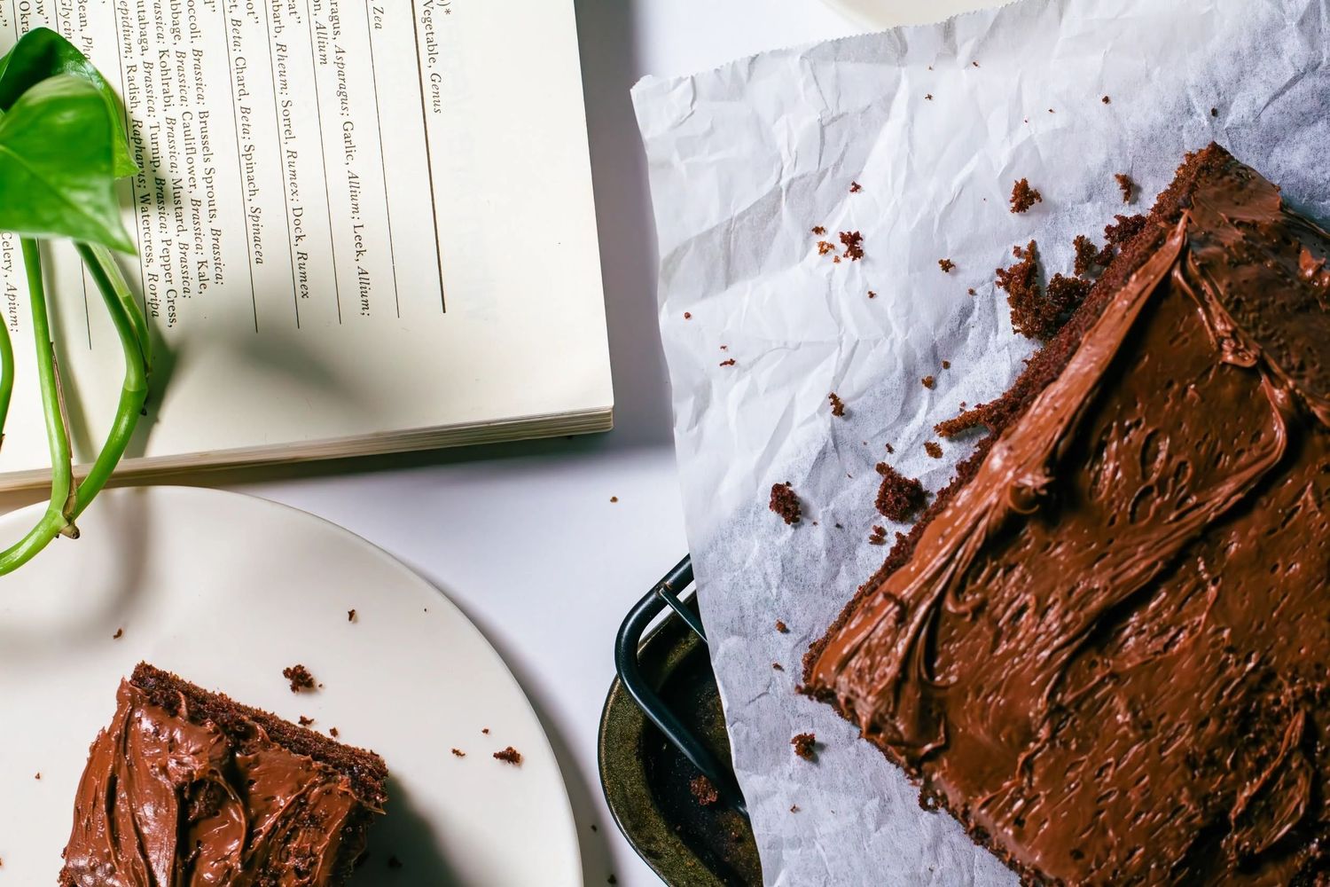 Chocolate cake with dark frosting arranged on white parchment paper with green plant leaves in background. Set design, photography services