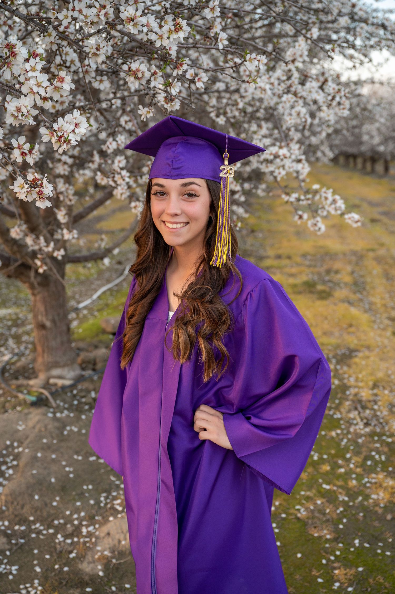 A graduation portrait in purple cap and gown surrounded by blooming spring trees.