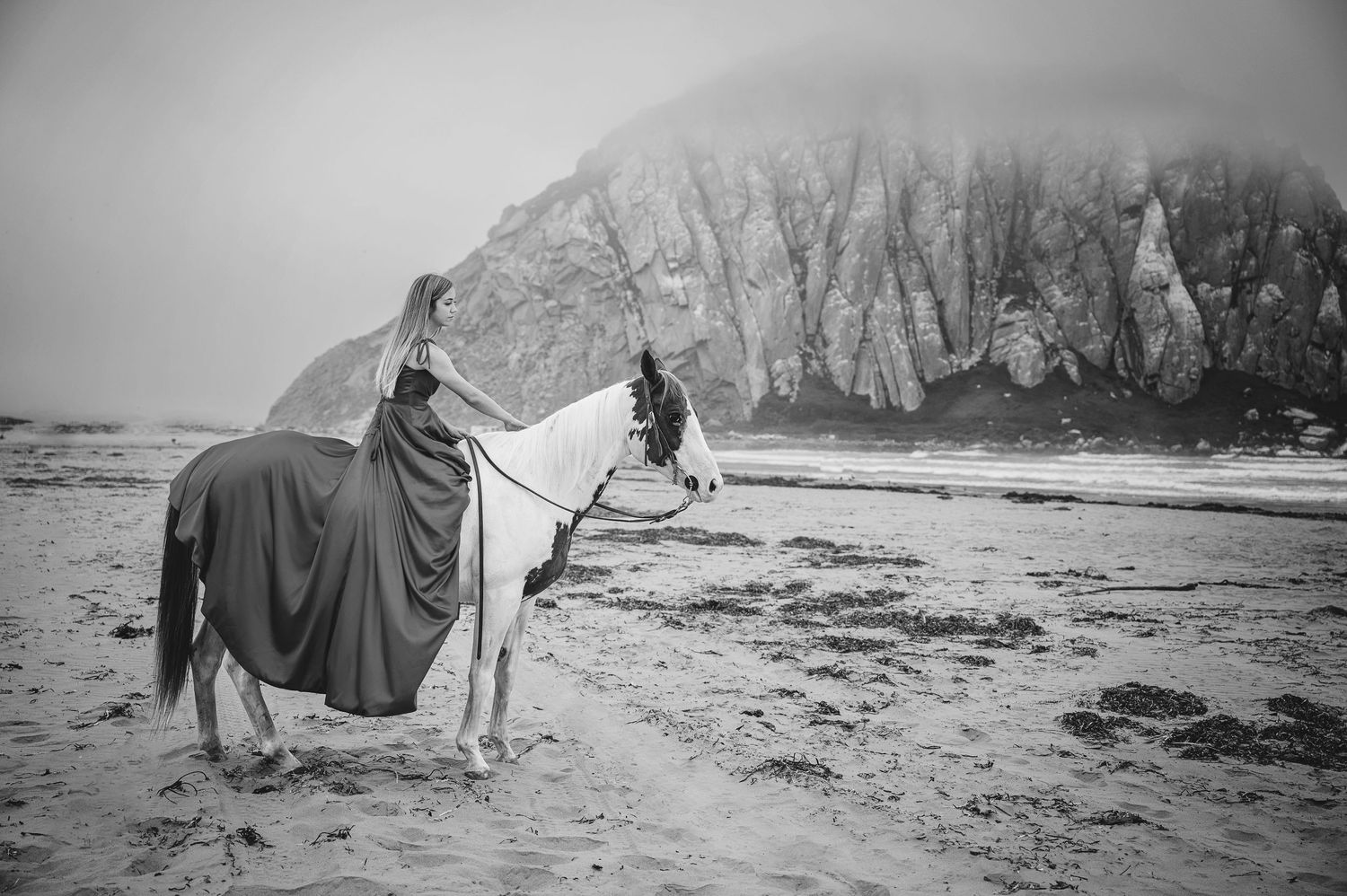 Black and white photo of a draped horse standing on a foggy beach with towering cliffs.