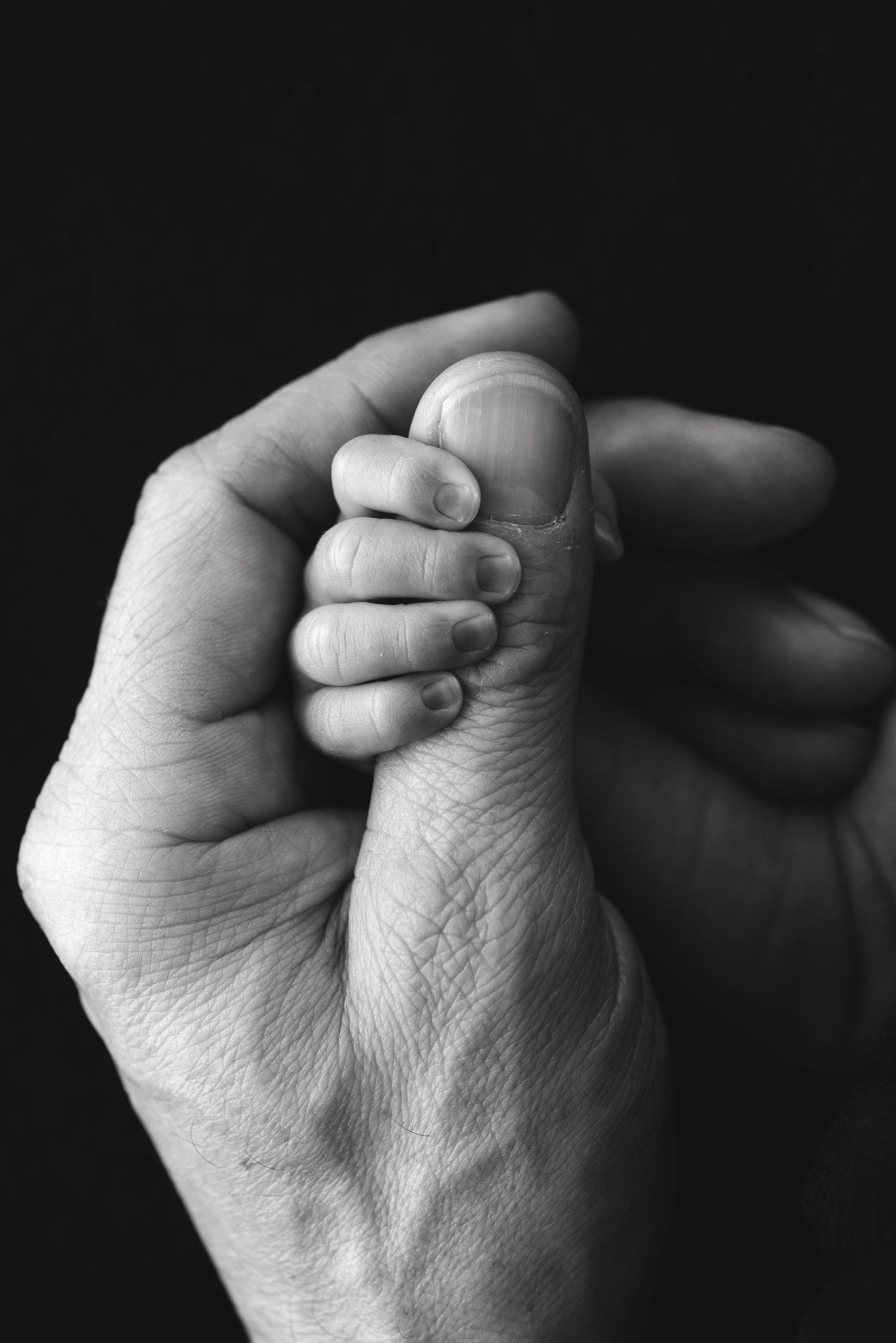 A sequence of black and white photographs showing a hand gradually closing into a fist. Hanford Newborn Photographer
