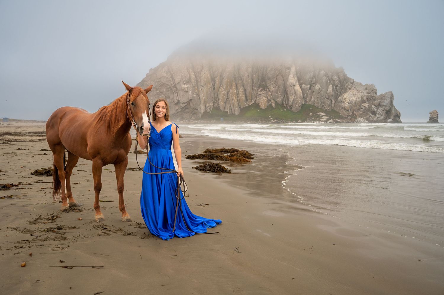 A sweeping blue gown contrasts with a chestnut horse on a moody beach landscape.