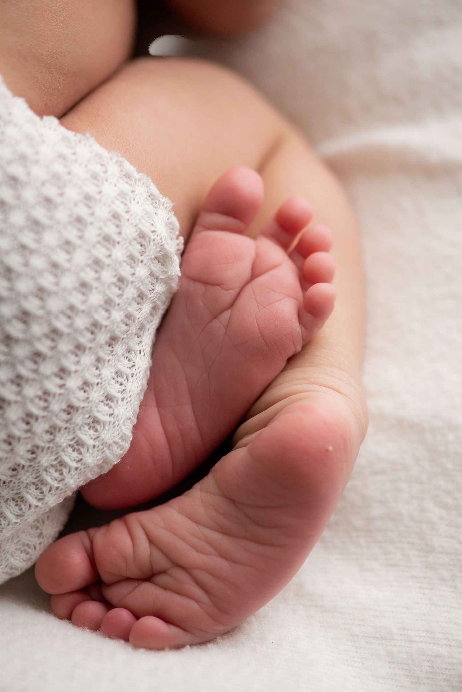 Series of tender close-up shots showing tiny newborn feet wrapped in white knit blanket. Hanford Newborn Photographer