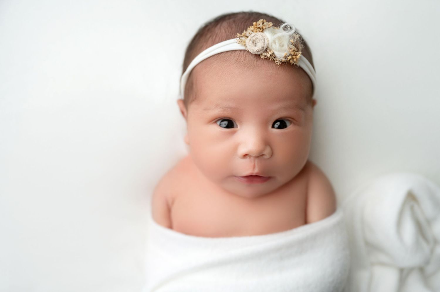 Sweet newborn portraits on white backdrop with delicate floral headband accessories.