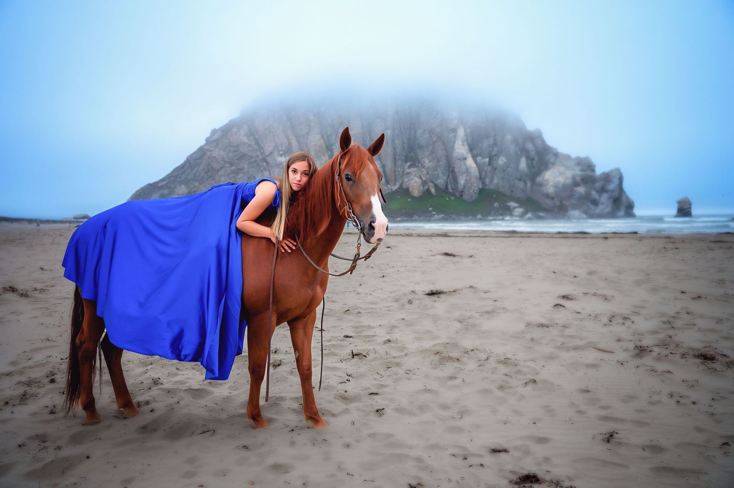 Brown horse with blue blanket stands on misty beach with mountain backdrop.