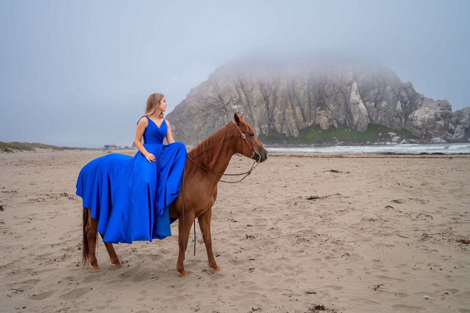 A figure in royal blue sits atop a chestnut horse against a dramatic foggy coastline.