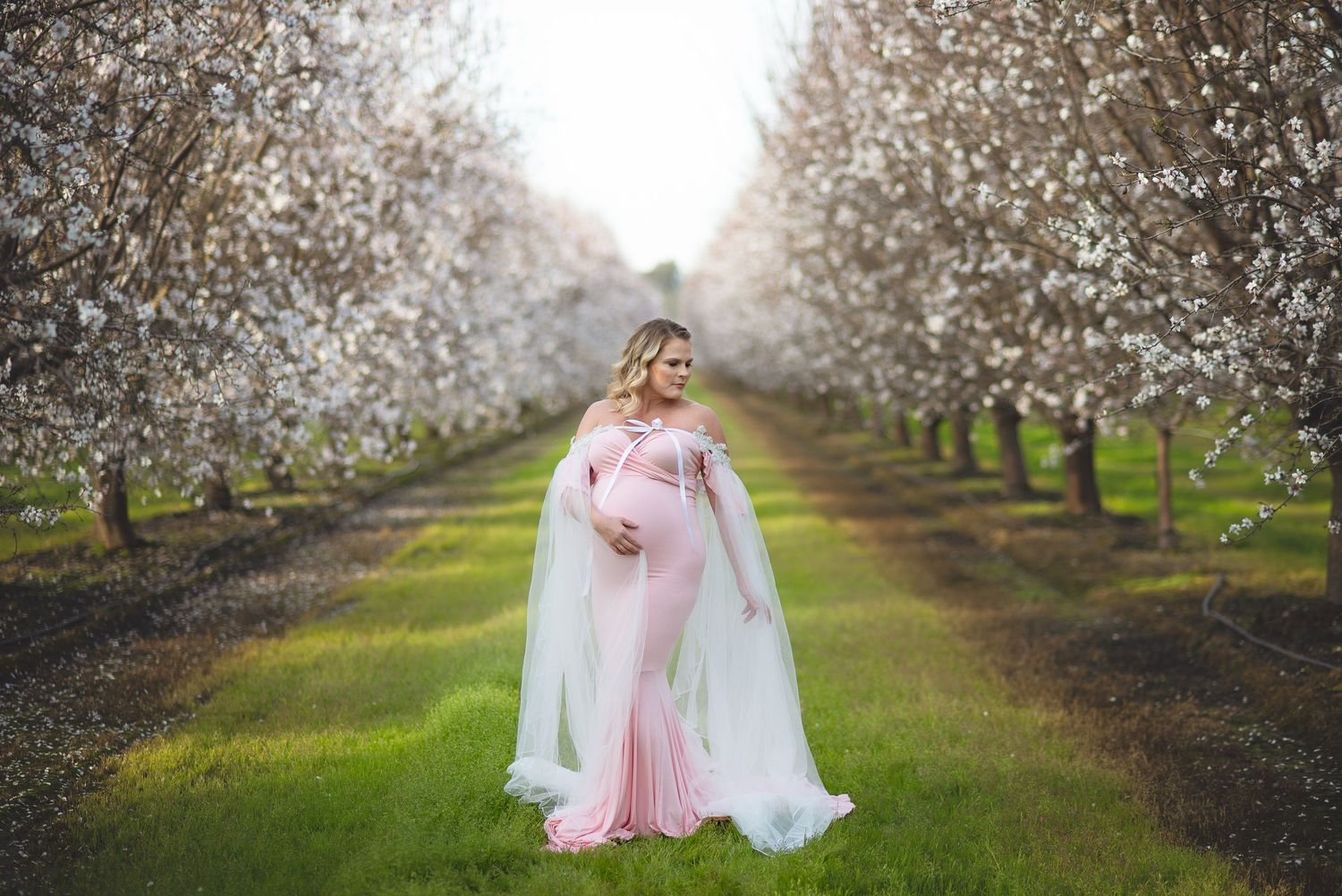 A romantic photoshoot in a blooming almond orchard with white petals and rows of trees stretching into the distance in Lemoore, CA.
