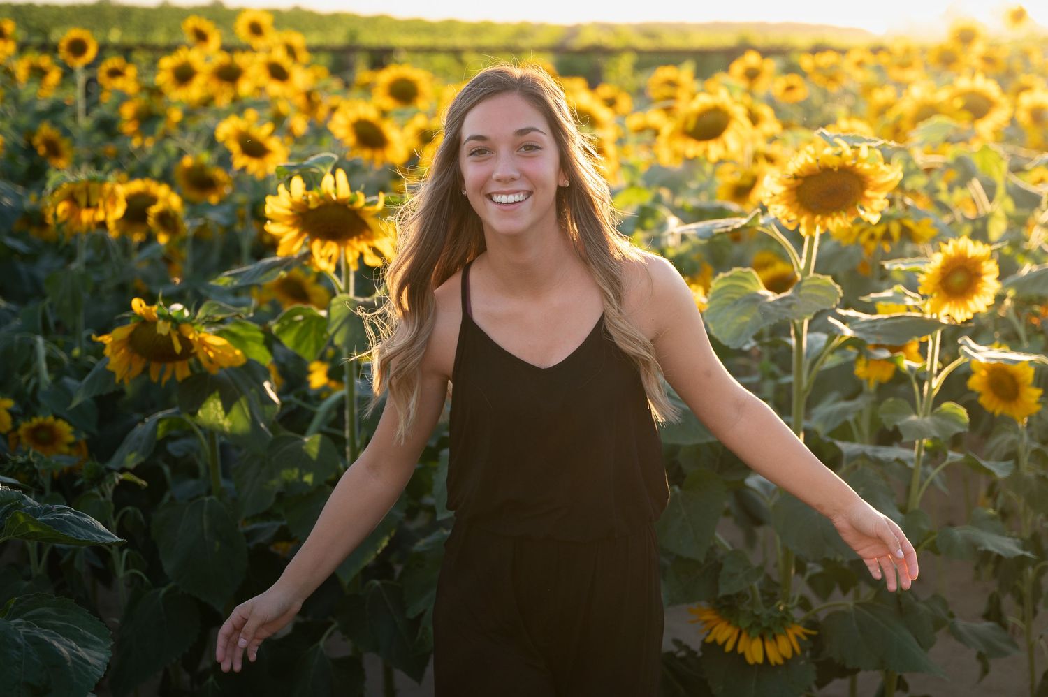 Joyful moment in blooming sunflower field during golden hour sunset.