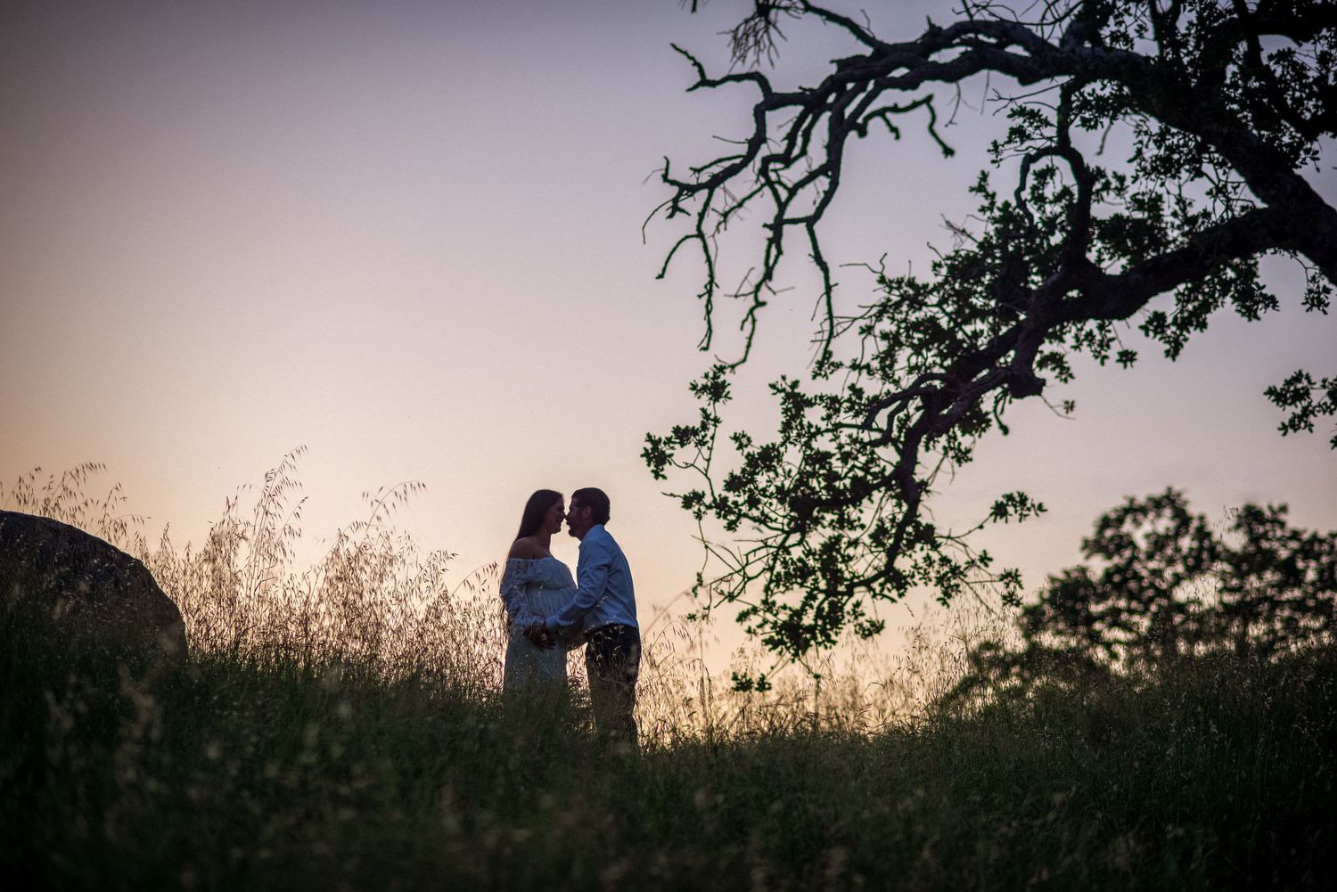 Silhouetted couple embraces under tree branch during sunset in countryside. Fresno Family Photography