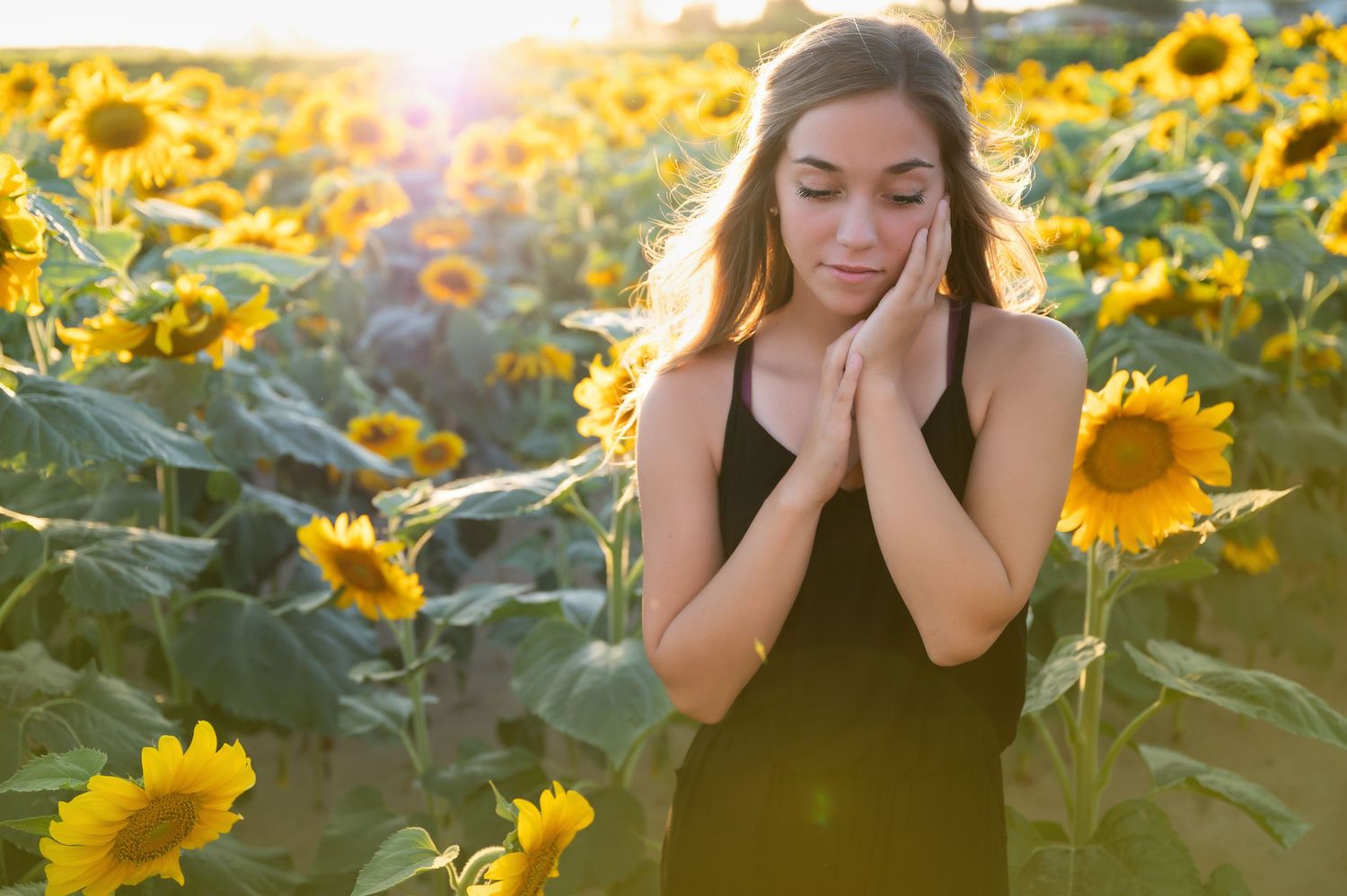 Contemplative pose among tall sunflowers during golden sunset lighting.
