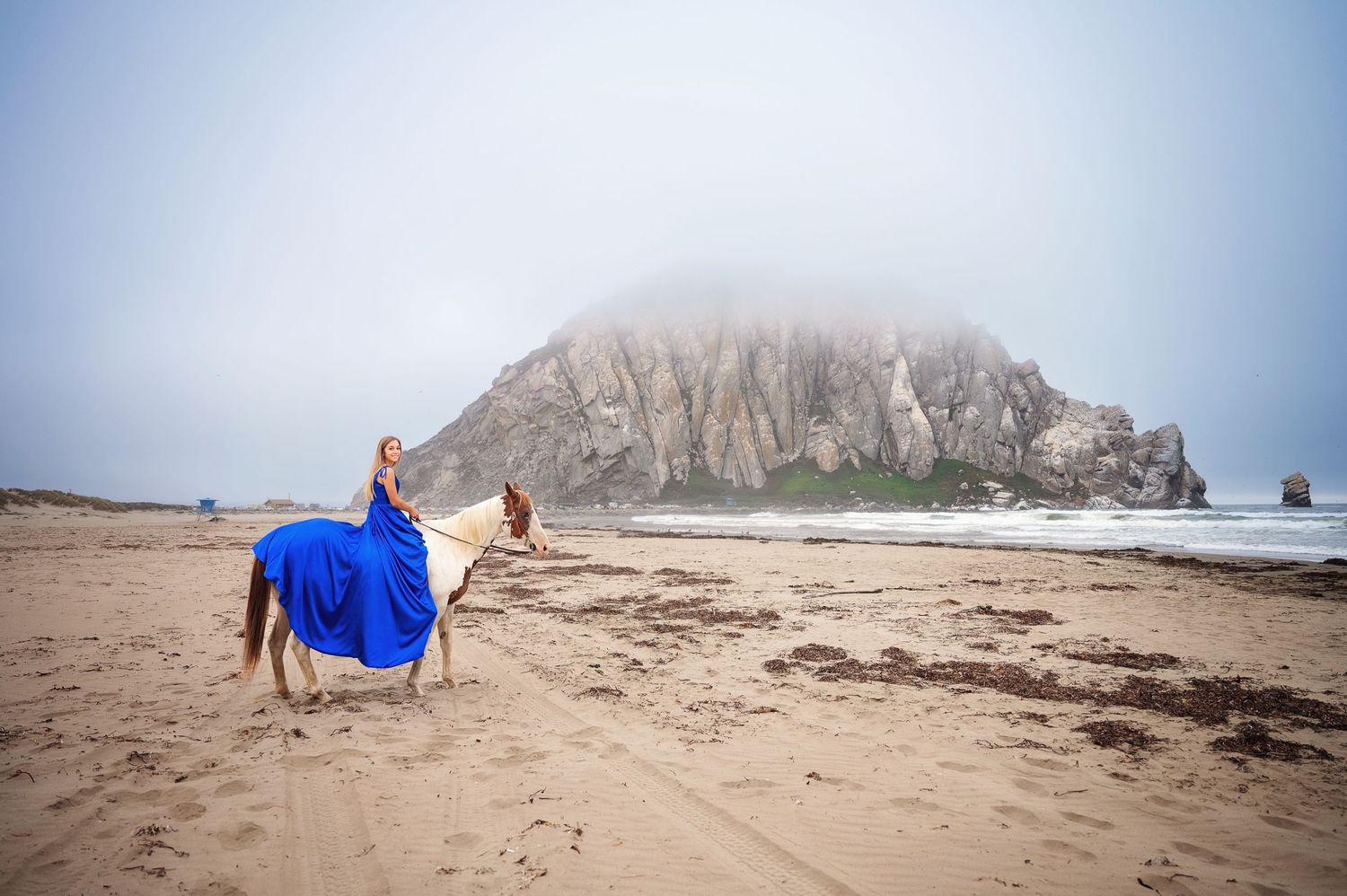 A horse and rider in vibrant blue stand against a dramatic misty coastal backdrop.