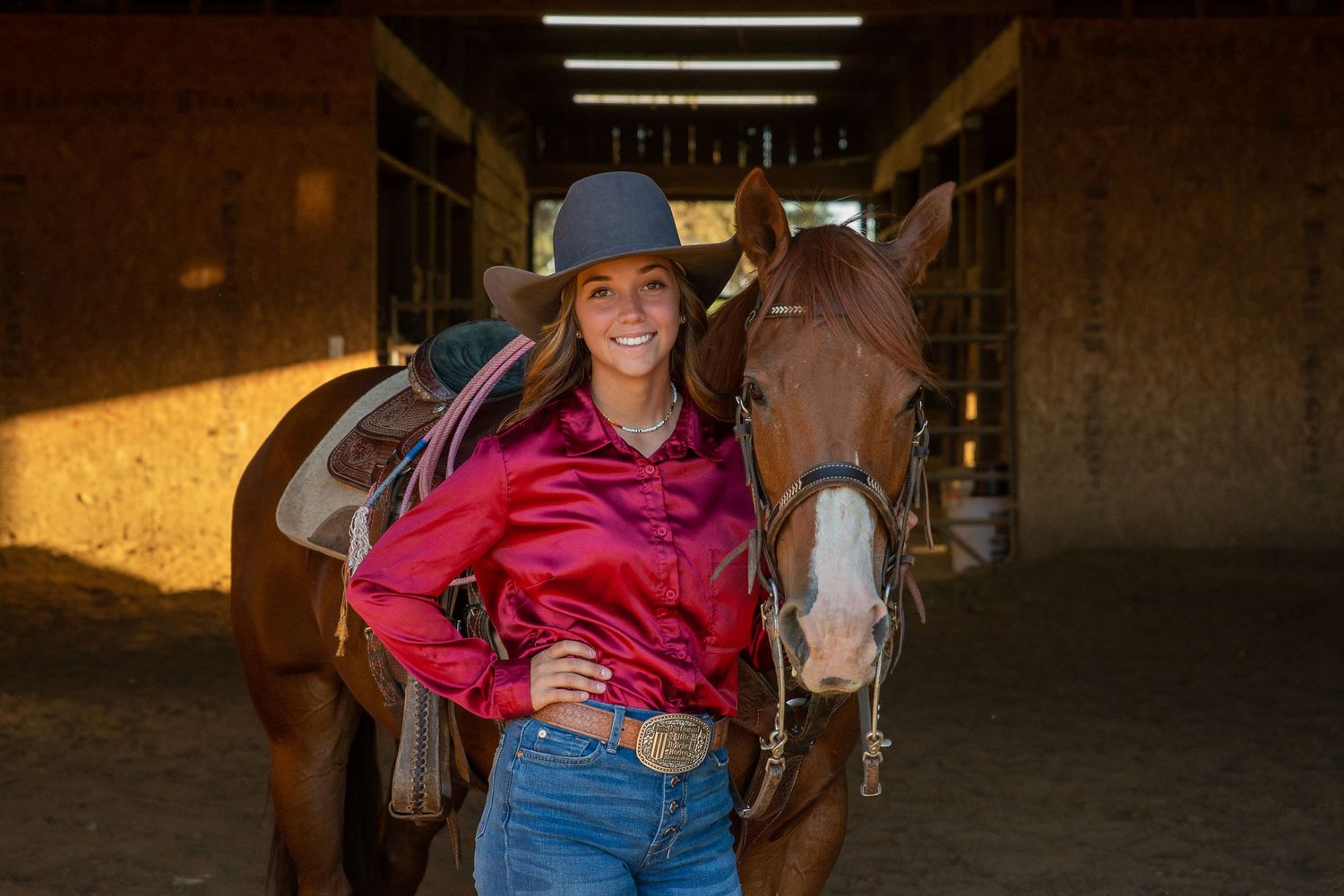 Western style portrait with brown horse in stable during golden hour light.