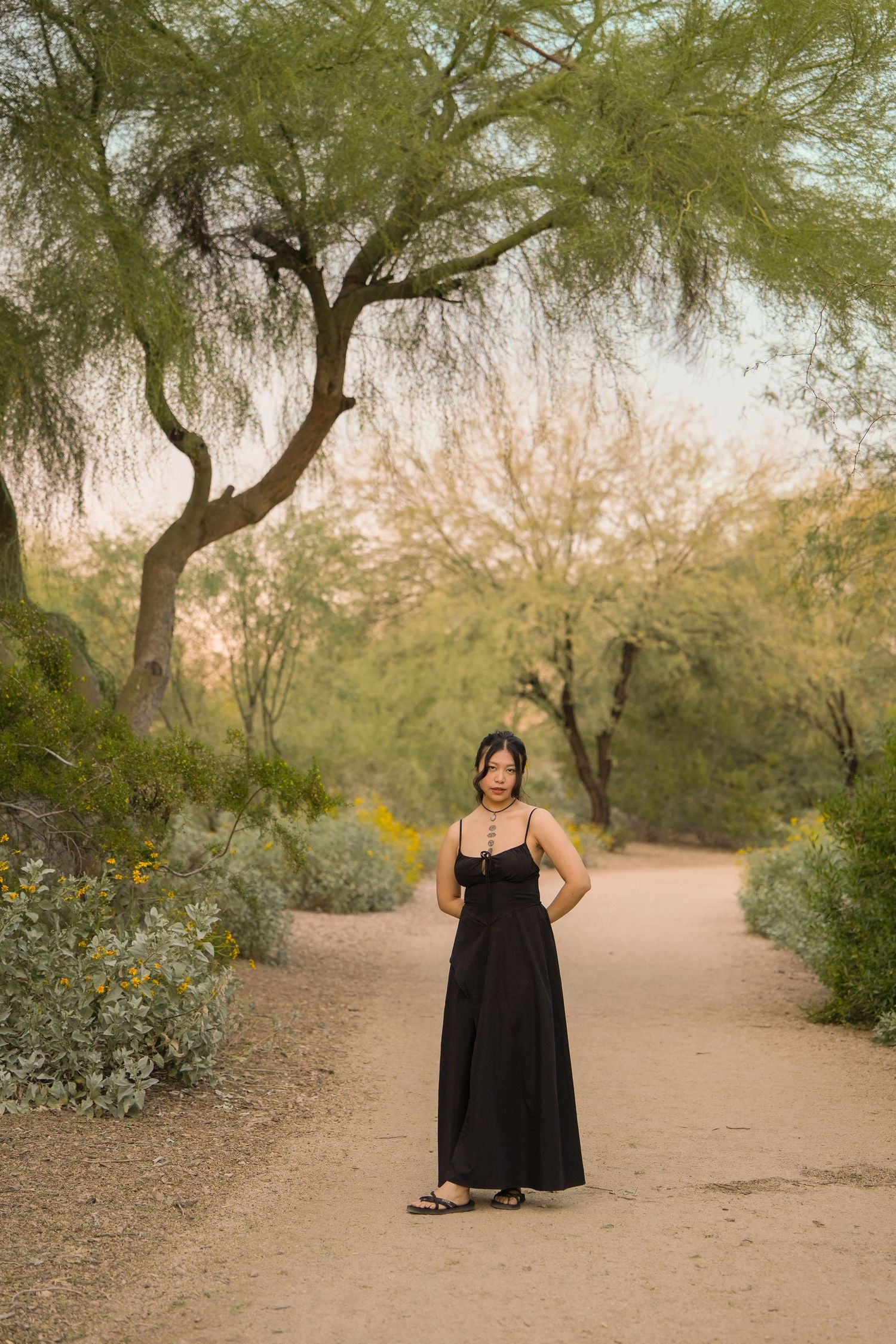 Woman in black maxi dress standing on desert garden path surrounded by palo verde trees at golden hour.