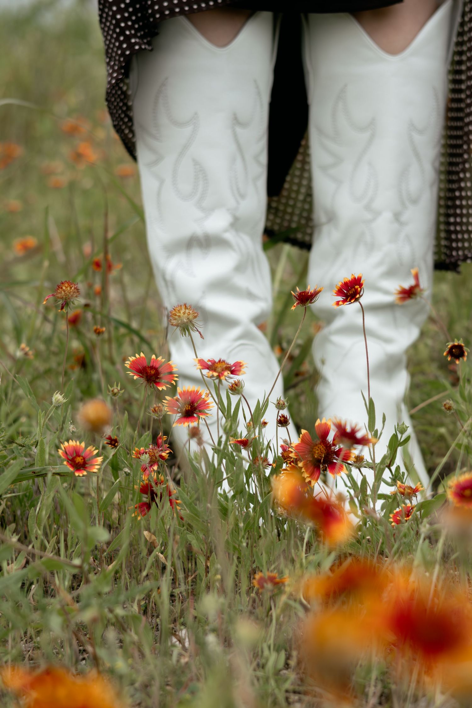 White cowboy boots standing among vibrant red and orange wildflowers in a lush green meadow.