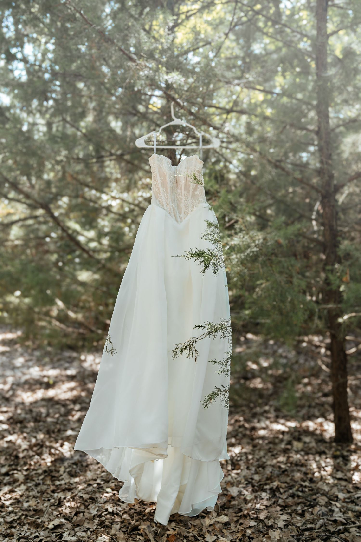 White wedding dress with lace bodice hanging on hanger among pine trees in forest setting.