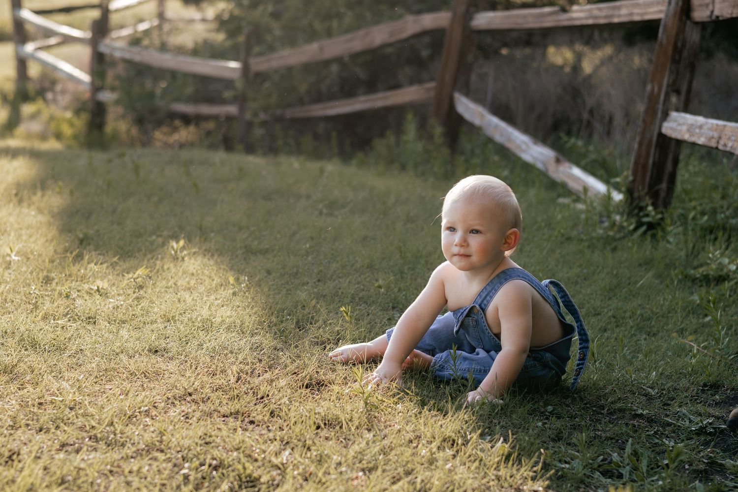 A baby in denim overalls sits on green grass near a wooden fence outdoors.