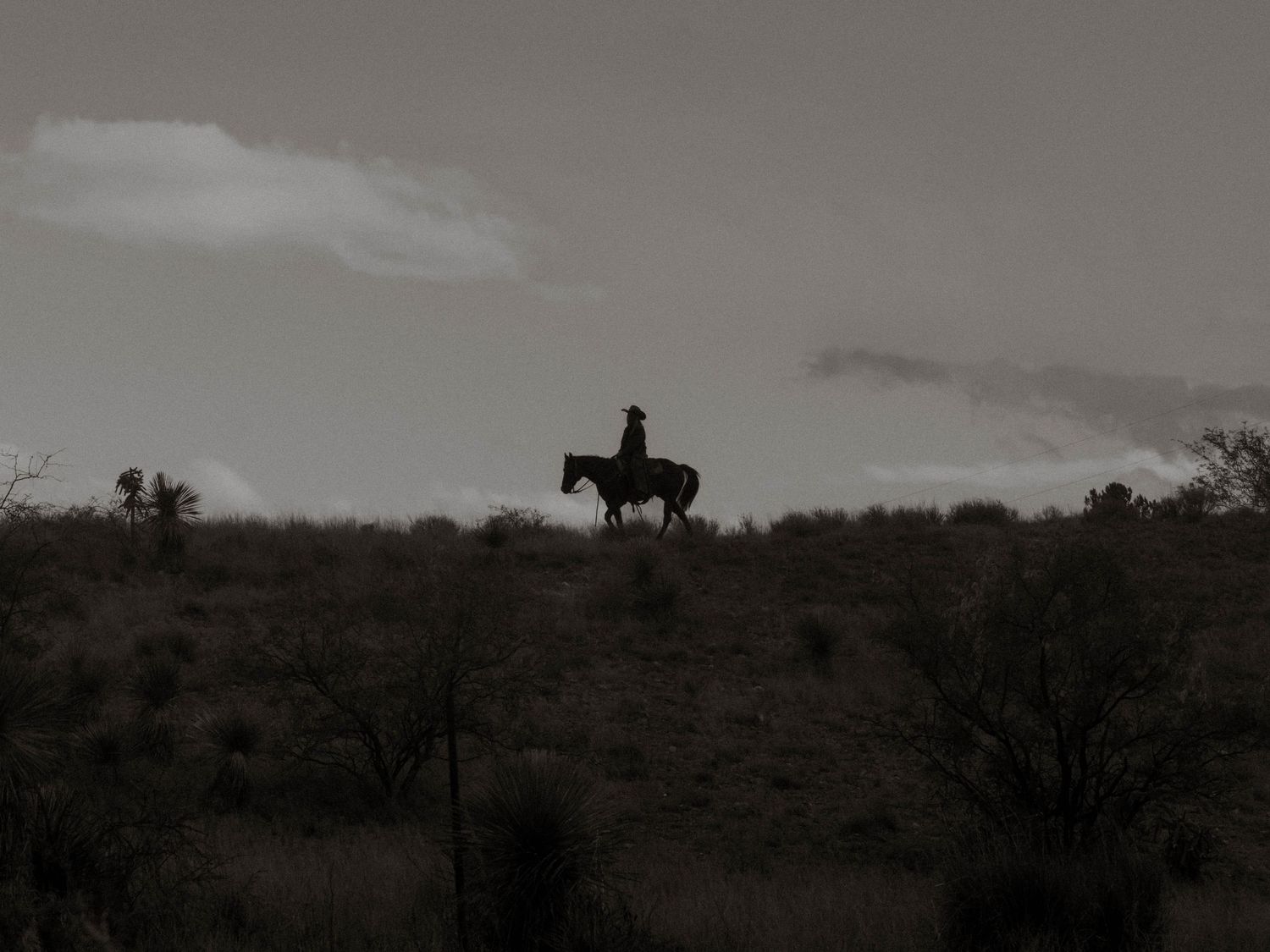 A silhouetted horse and rider traverse a misty hilltop against a moody gray sky at dusk.