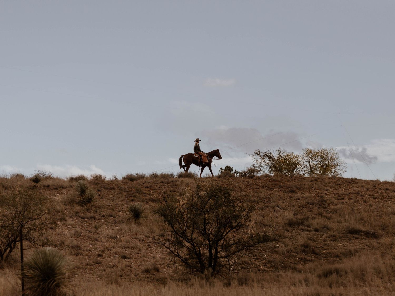 A silhouetted horseback rider stands atop a barren hill against a moody gray sky during golden hour.