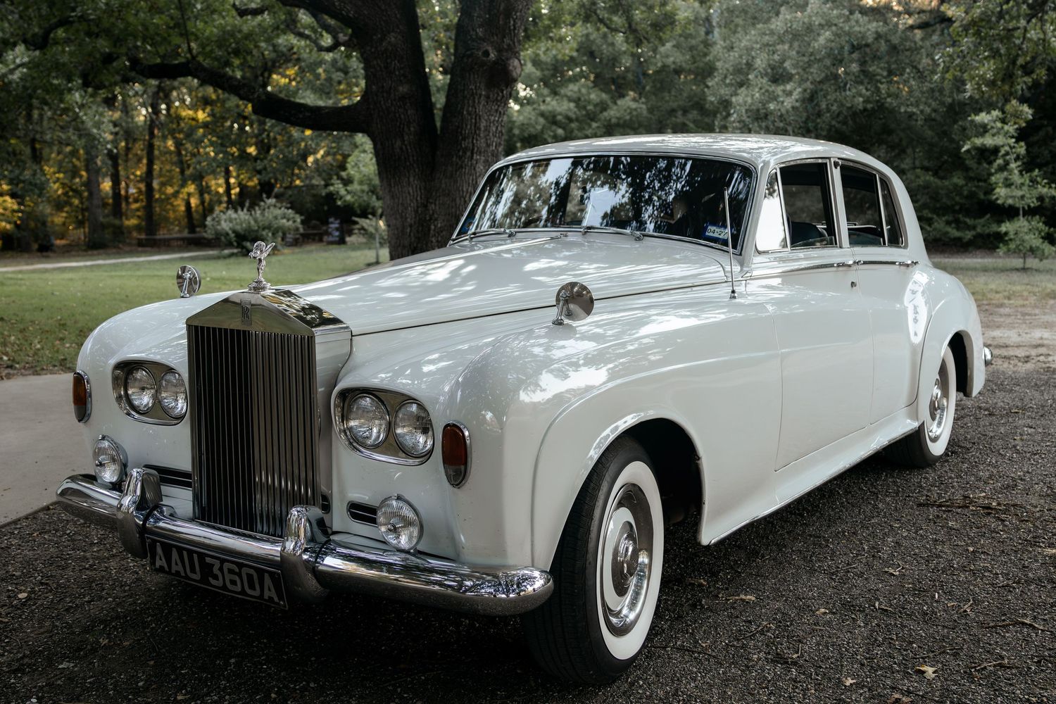 Classic white Rolls-Royce vintage wedding car parked under trees at outdoor ceremony venue.