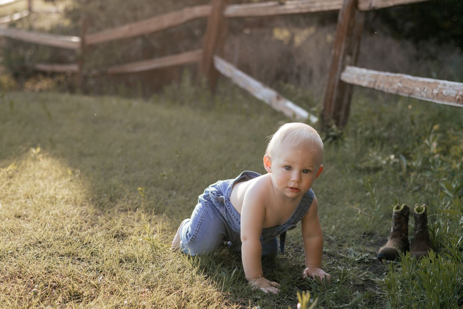 A baby boy in denim overalls crawls on green grass near a wooden fence in warm sunlight.