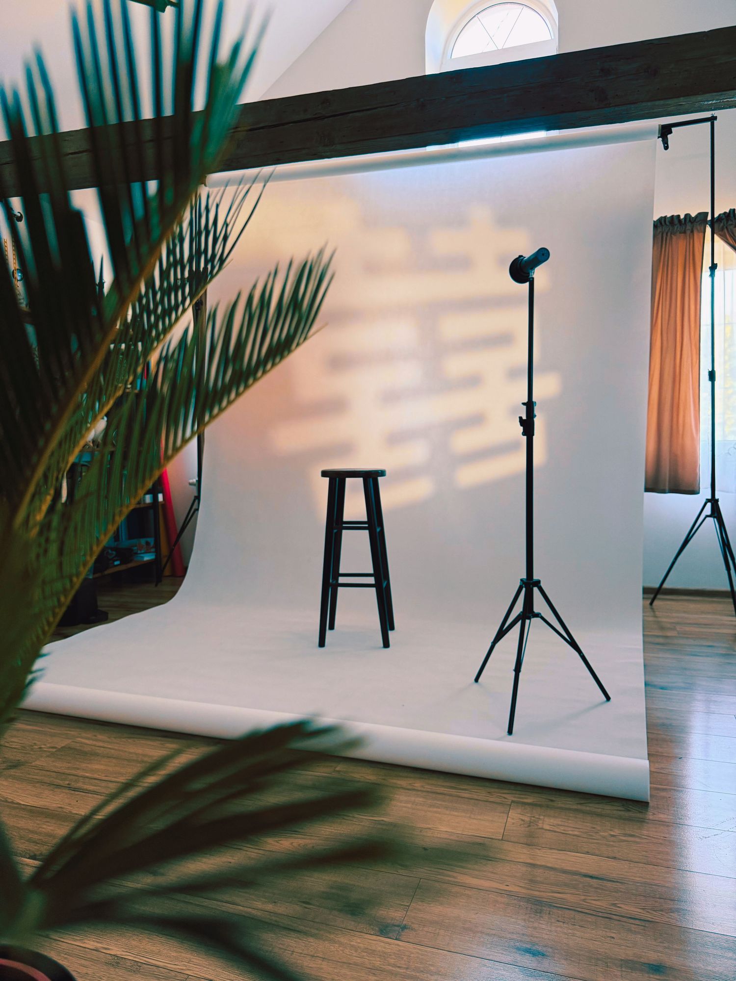 A professional photography studio with white backdrop, bar stool, lighting stand, and tropical plant in the foreground.