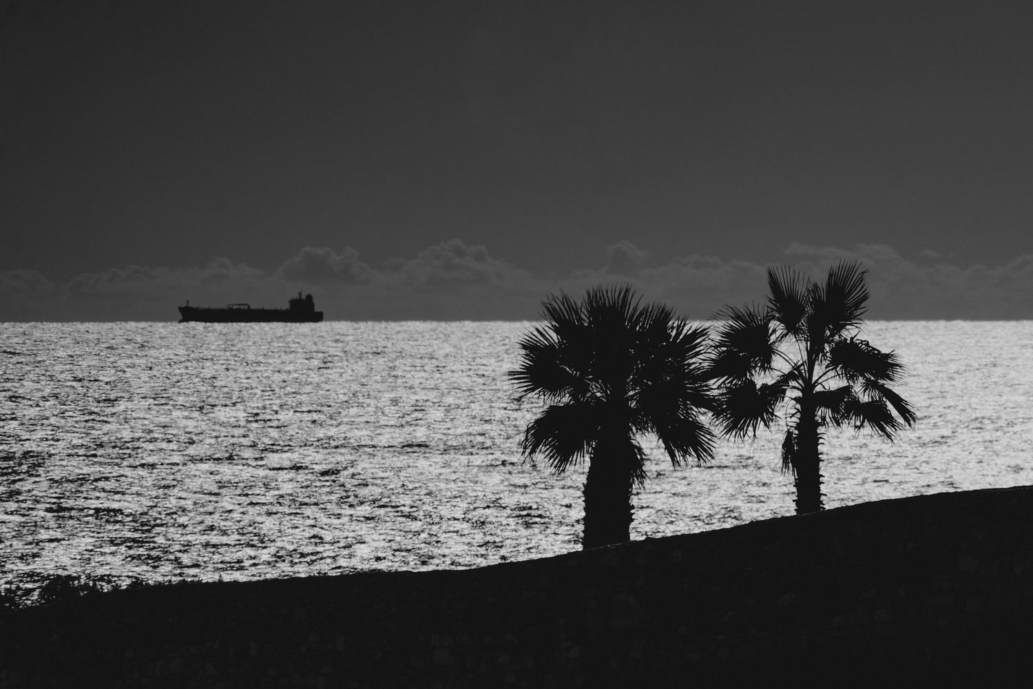 Palm tree silhouettes against a dramatic sunset sky over the ocean.