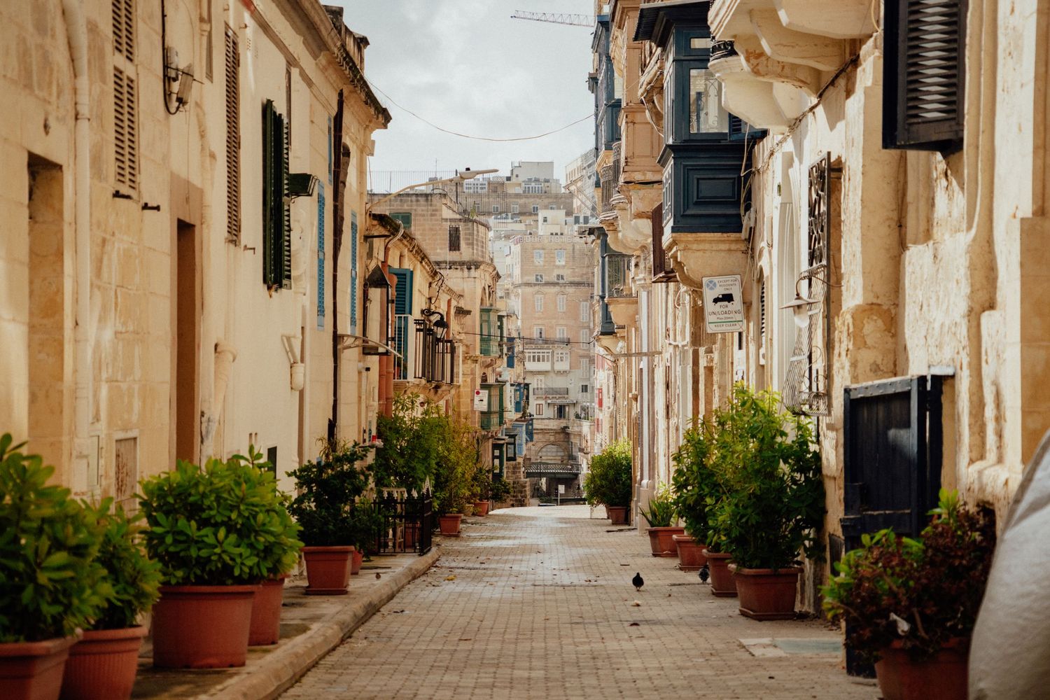 Narrow Mediterranean street lined with potted plants and cream-colored buildings with traditional architecture.