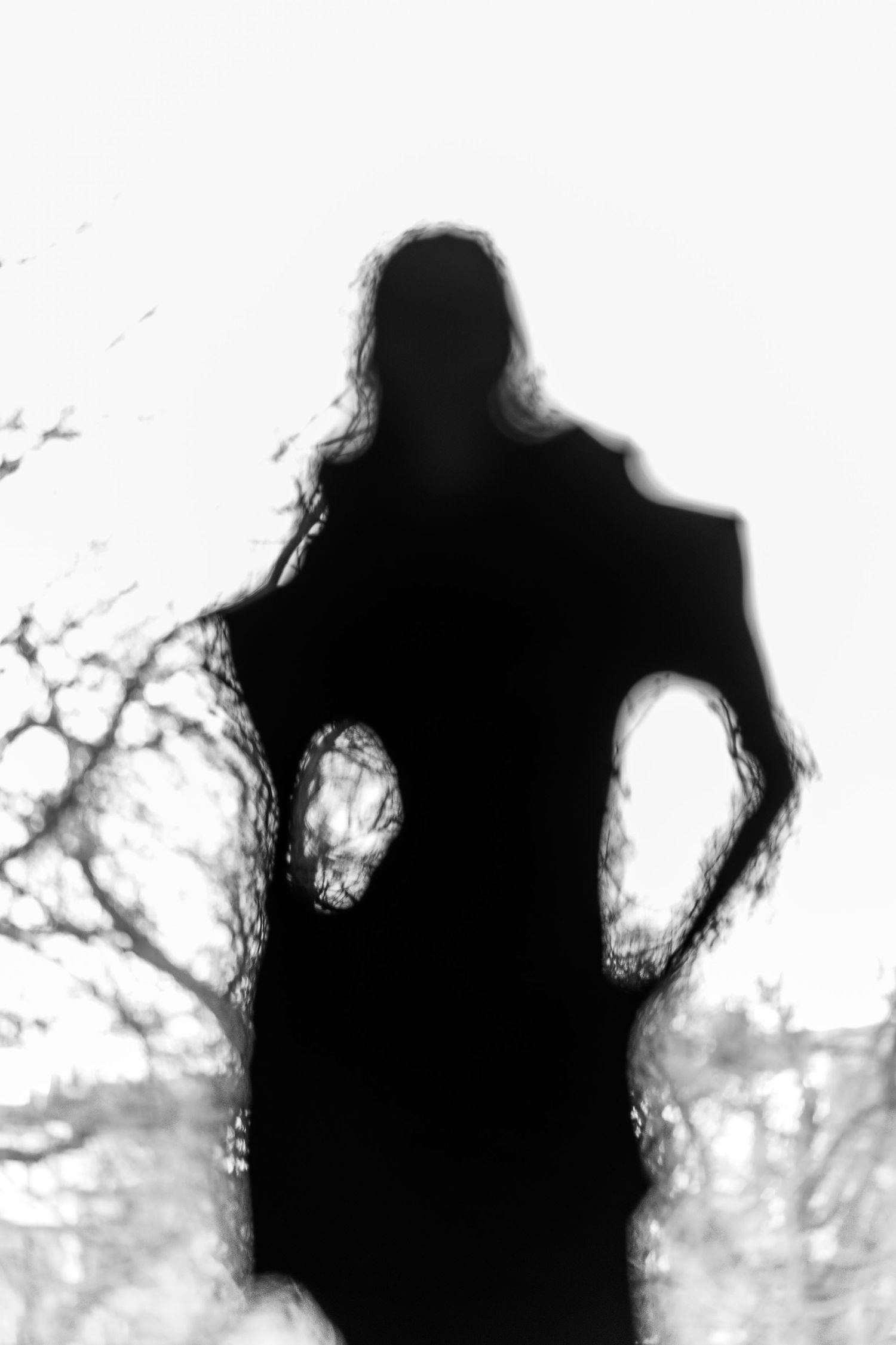 A dark silhouette figure stands against a light background creating an eerie contrast with blurred tree branches visible.