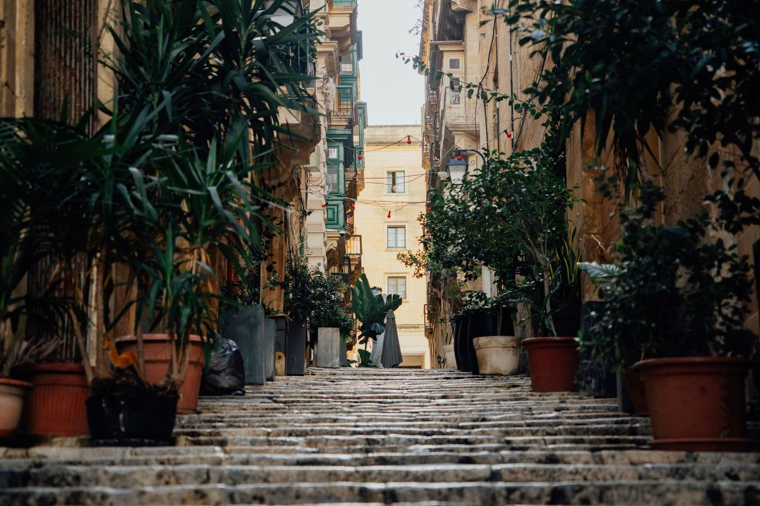 Narrow stone alley lined with potted plants and traditional architecture.