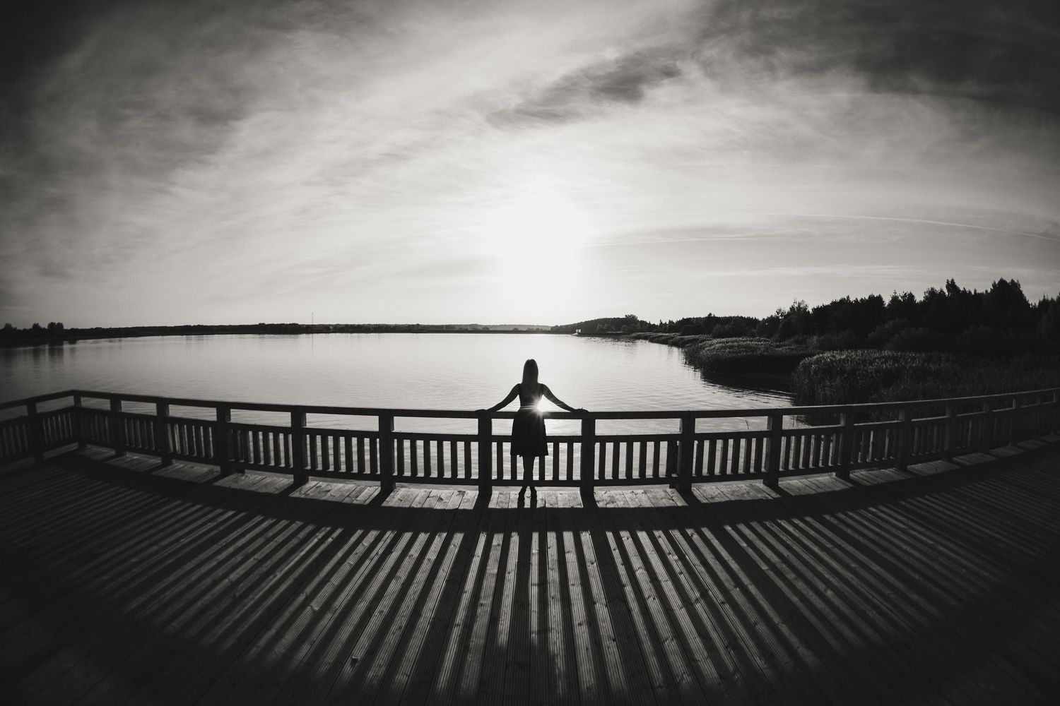 Black and white silhouette on boardwalk railing overlooking serene lake.