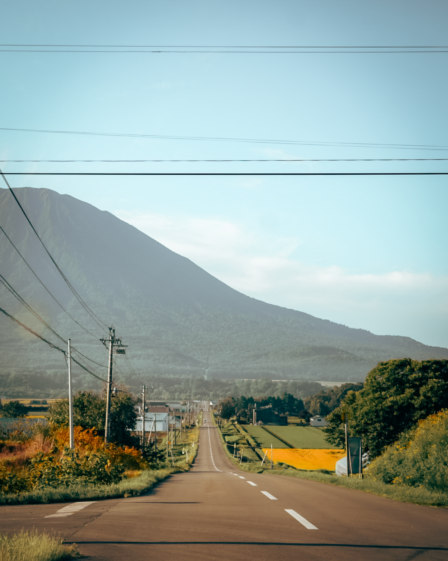 Mount yotei by tendayi dhure