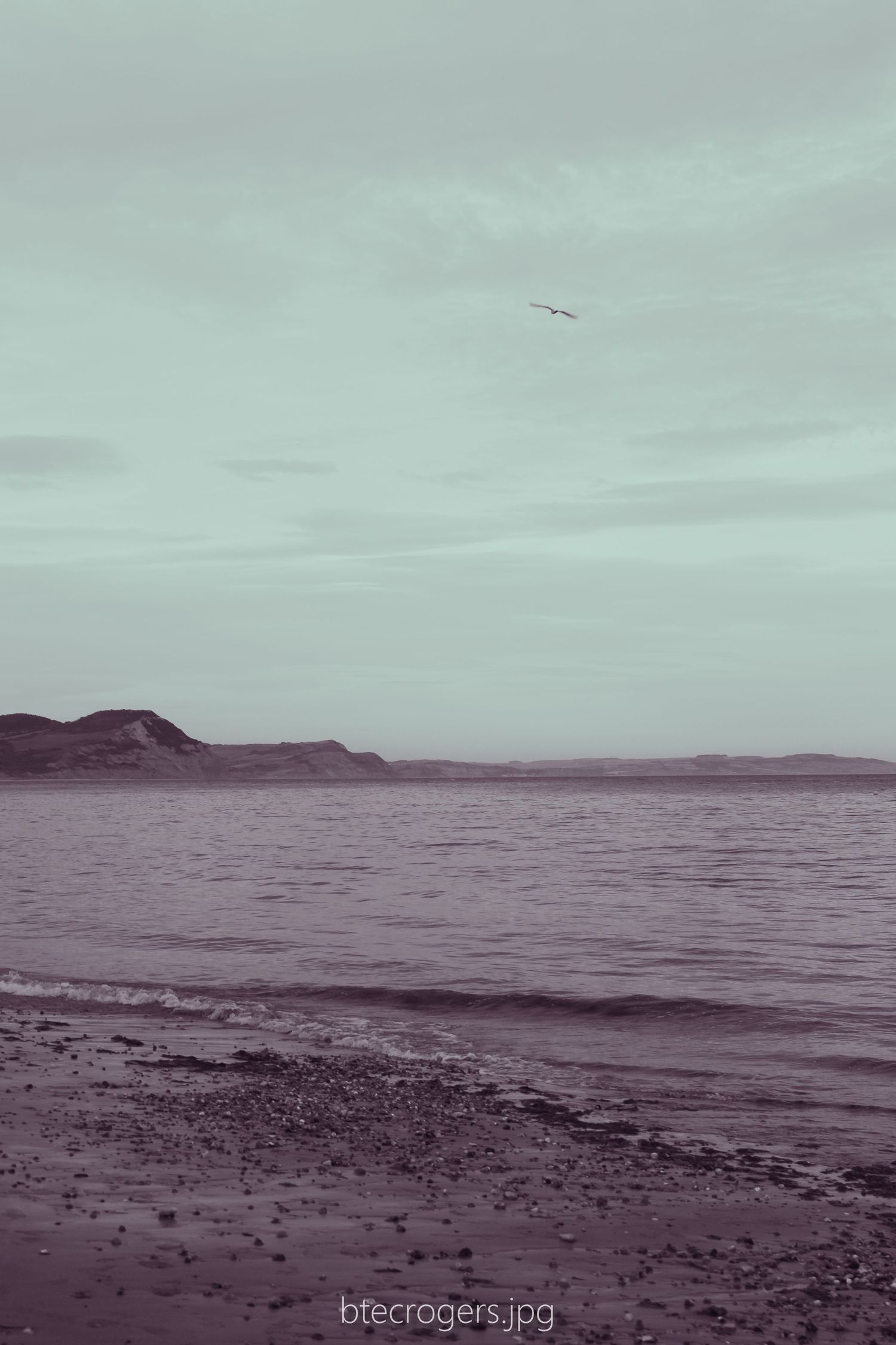 Shoreline
