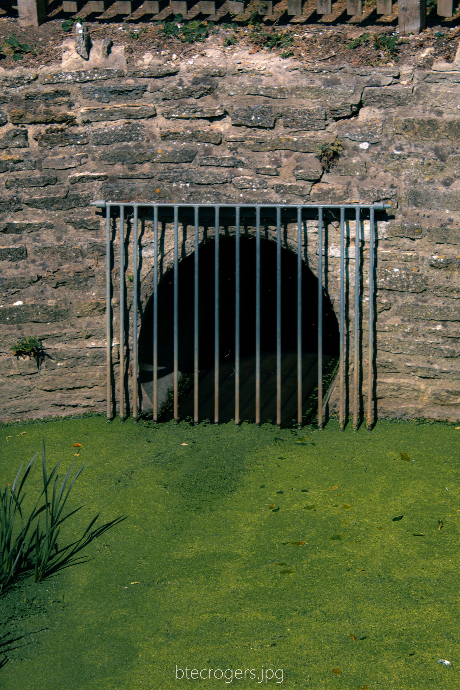 Sewer