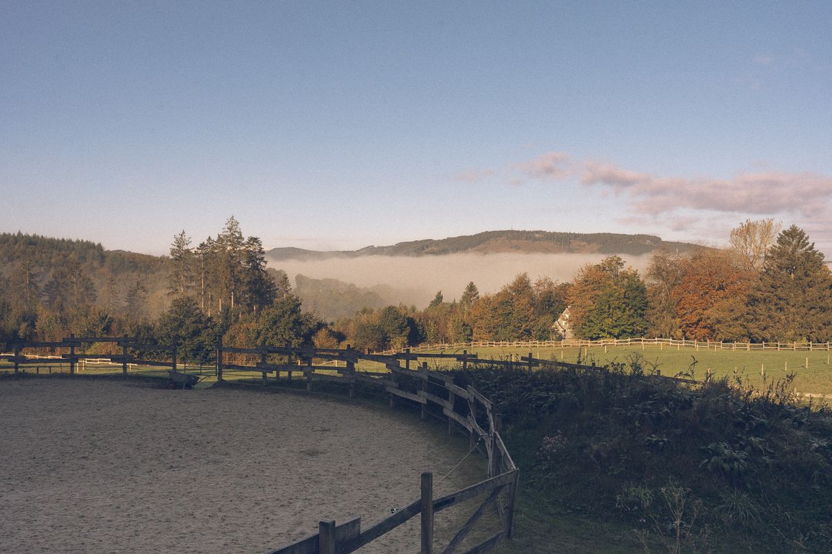 A rustic wooden fence curves around a paddock with misty hills and autumn trees in a serene countryside landscape.