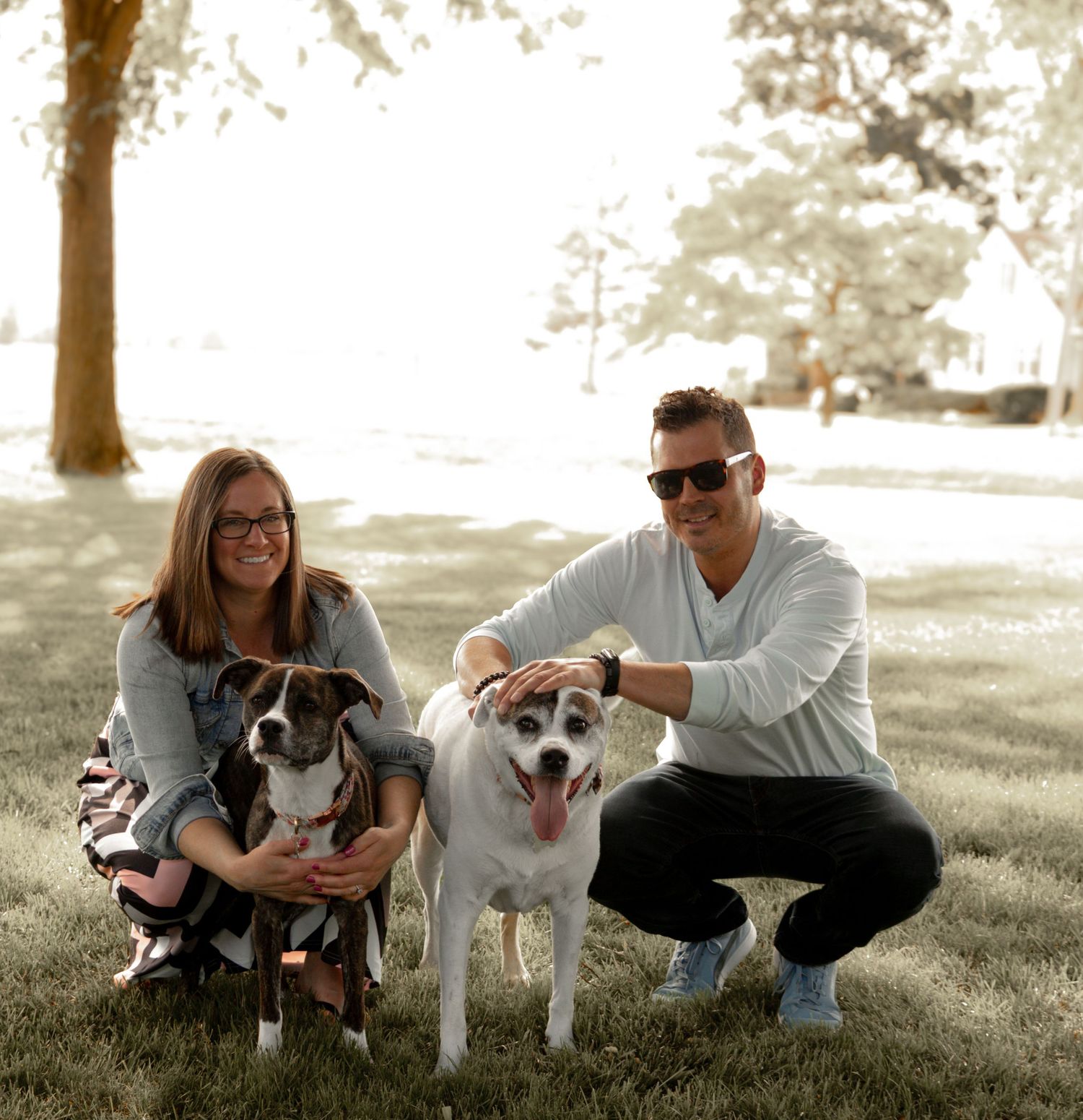 A couple sits with their two husky dogs on grass during golden hour.