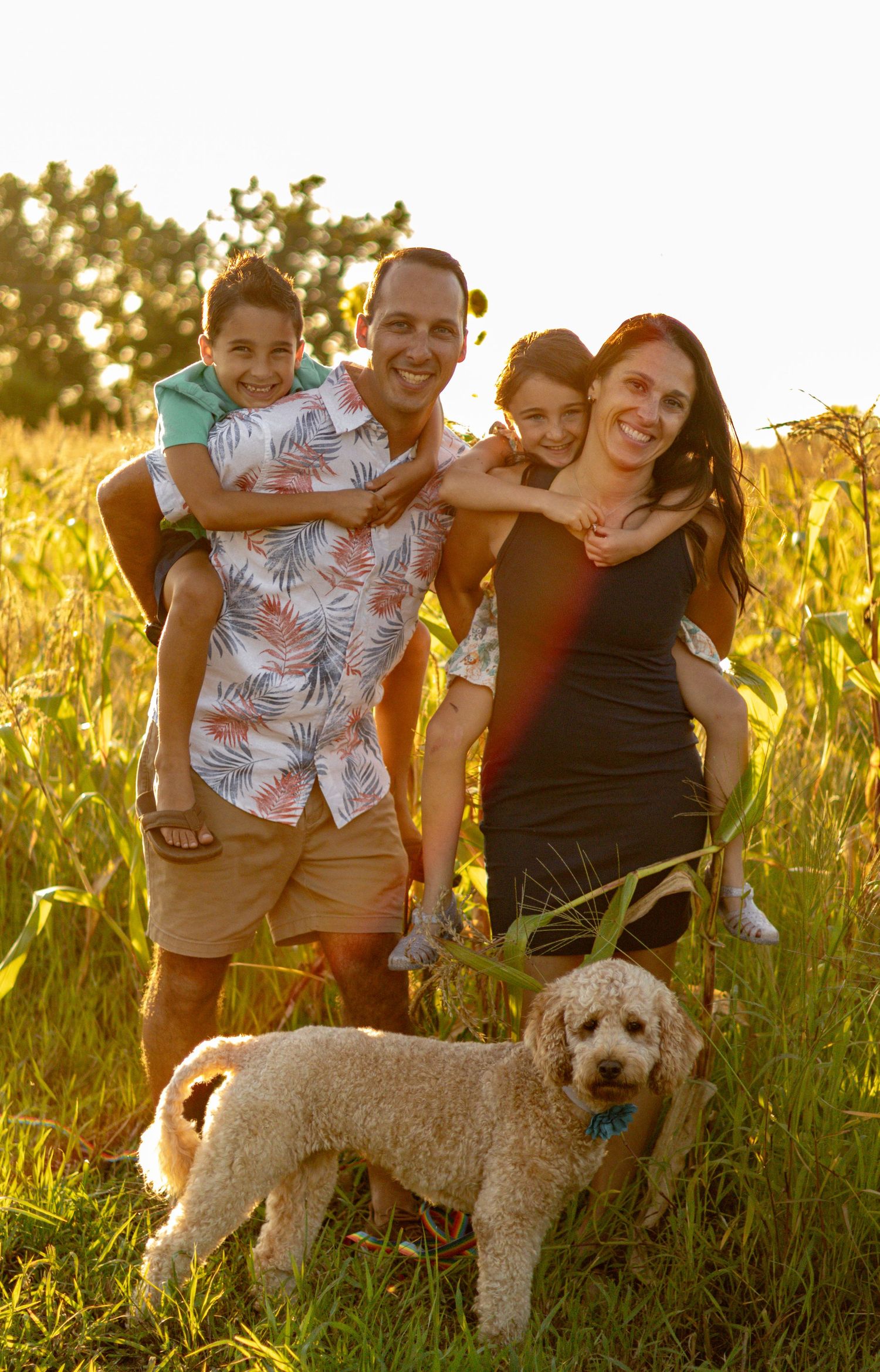 A group enjoys a sunset moment in a golden field with their fluffy white dog during a summer evening photo session.