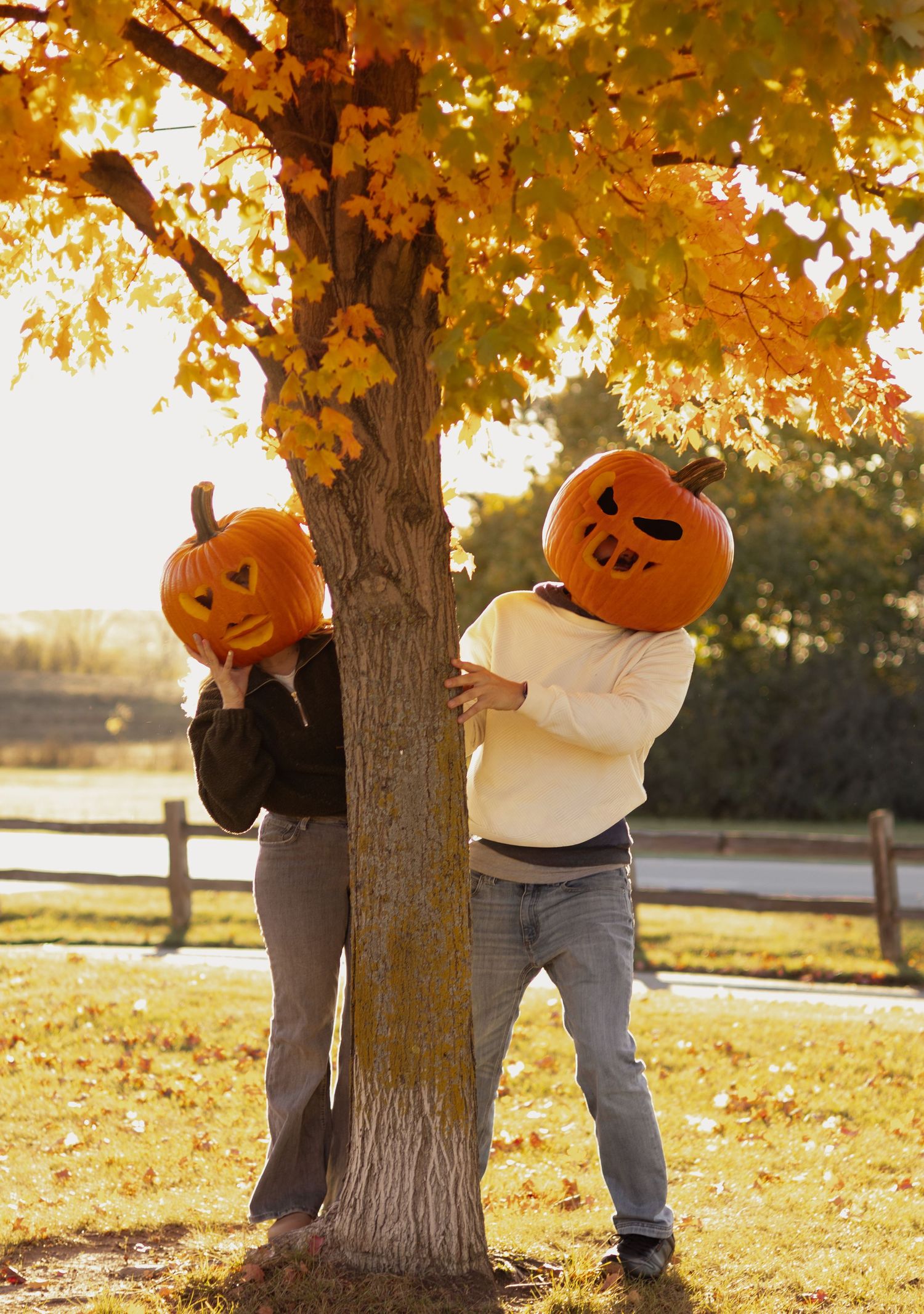 Two people wearing jack-o-lantern heads peek around an autumn tree with golden leaves in a Halloween outdoor scene.