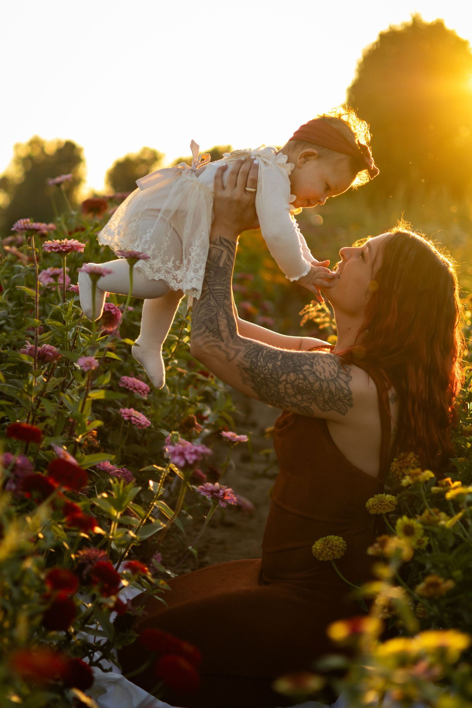 Sweet interaction among flowers during sunset with golden light filtering through colorful blooms.