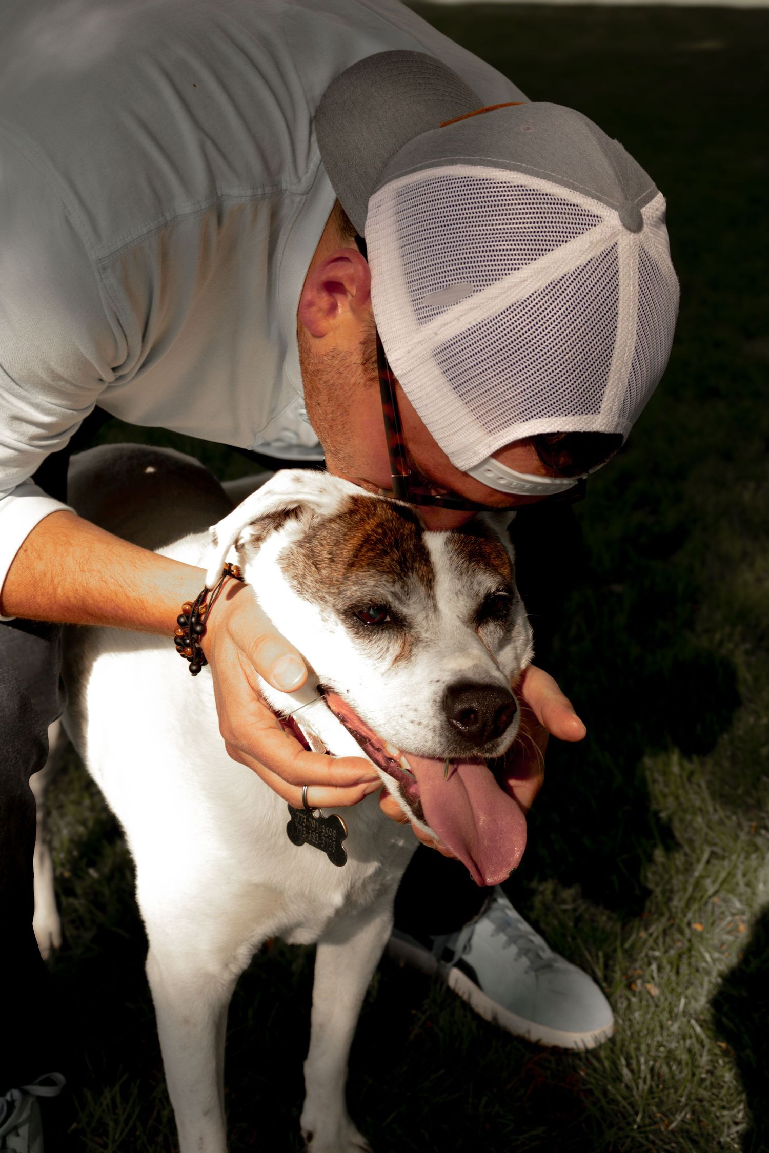 A black and white dog wearing a collar is being pet outdoors.