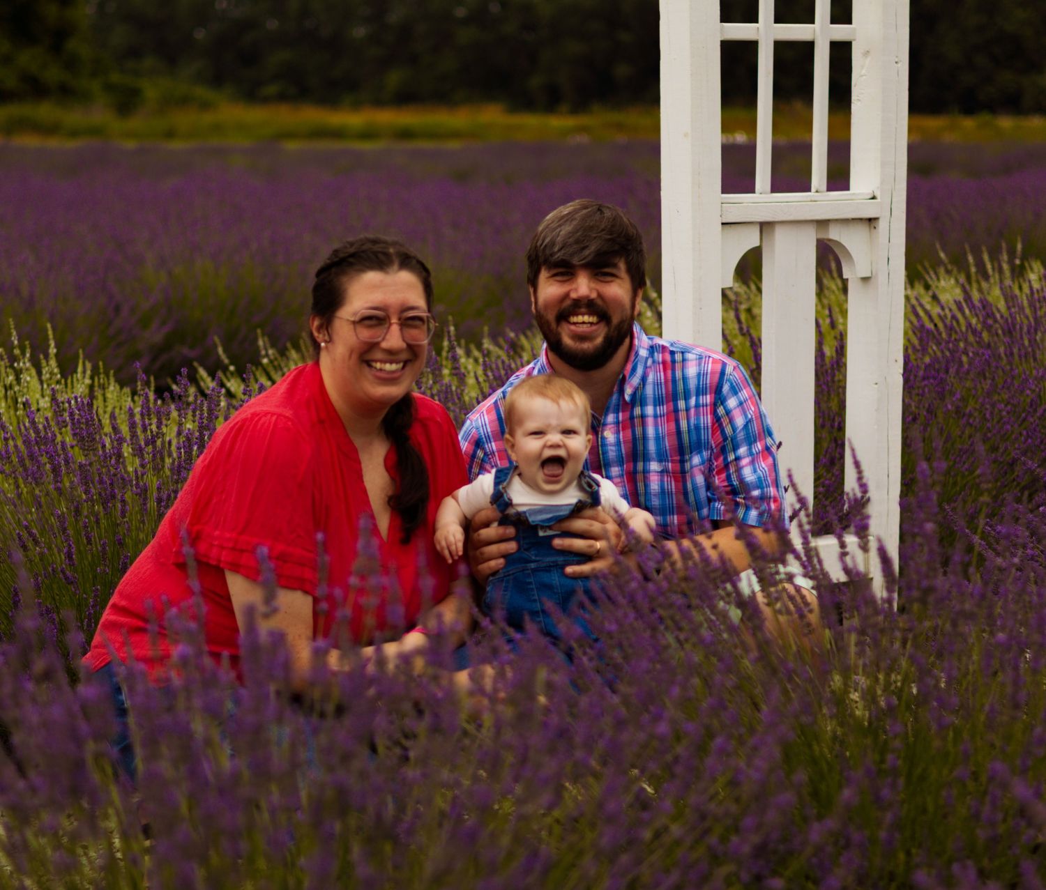 Family laughing together by a white pergola in a lavender field.