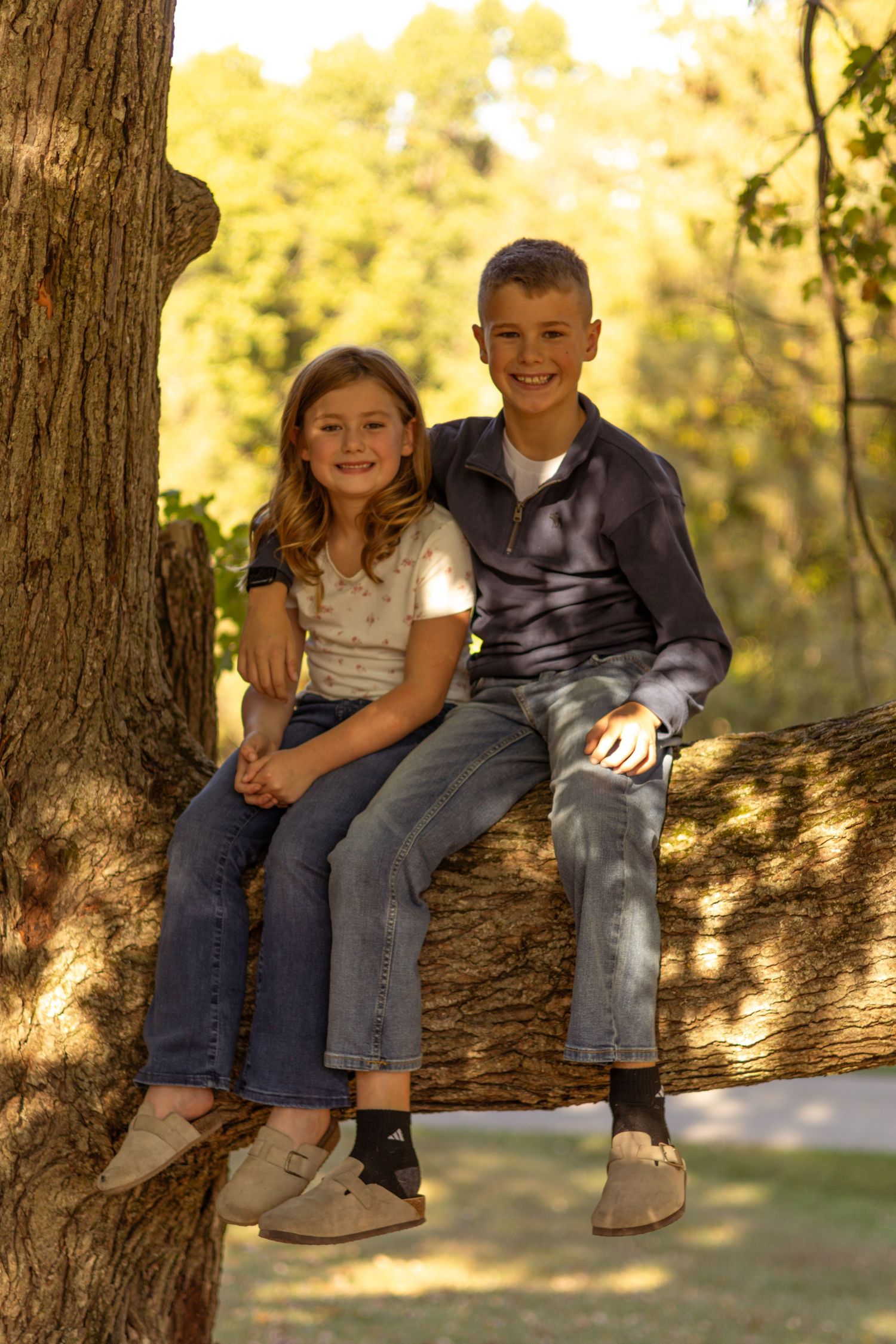 Children sit together on large tree branch in dappled sunlight.