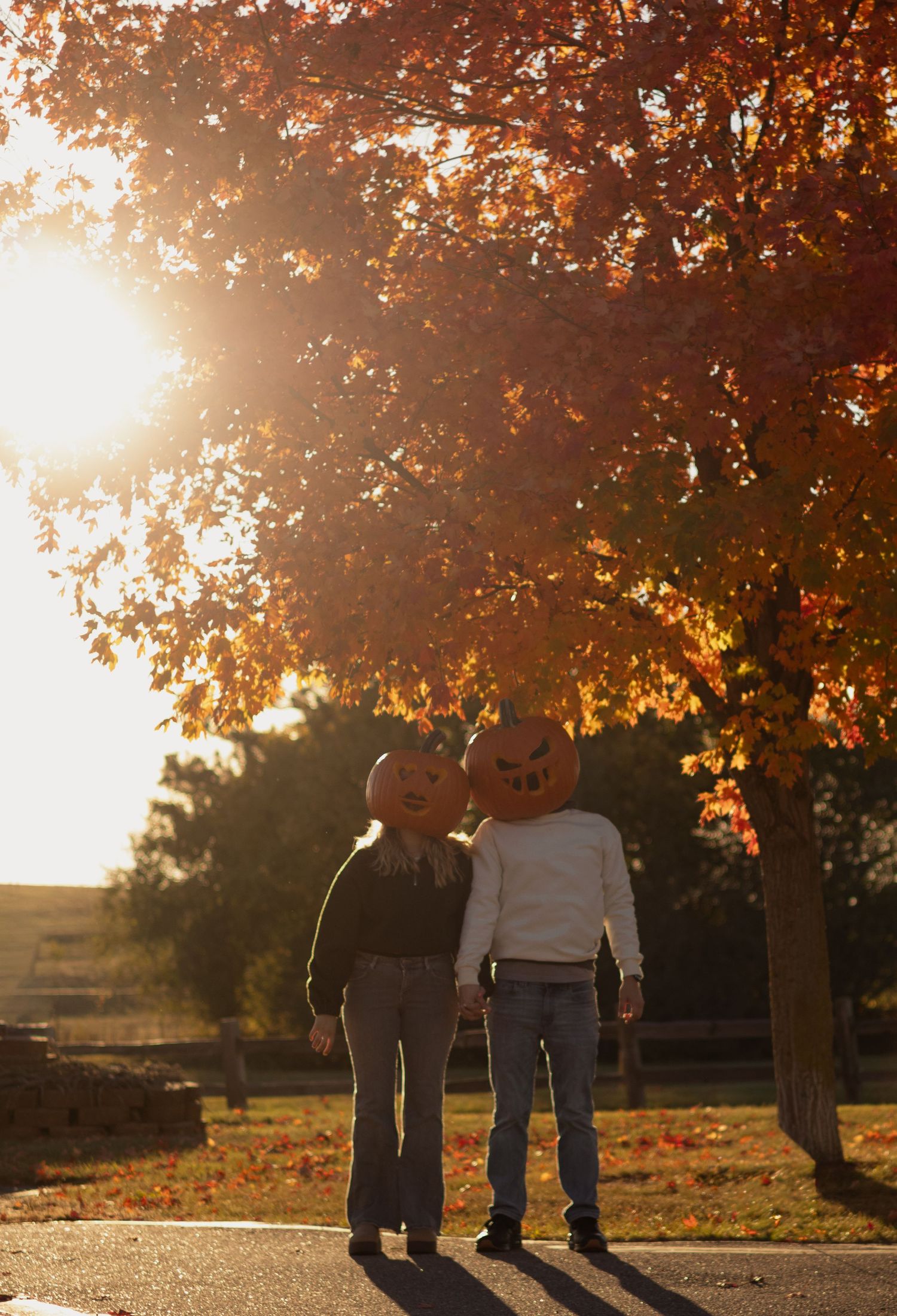 Two people wearing pumpkin heads stand under vibrant autumn trees in golden sunlight.