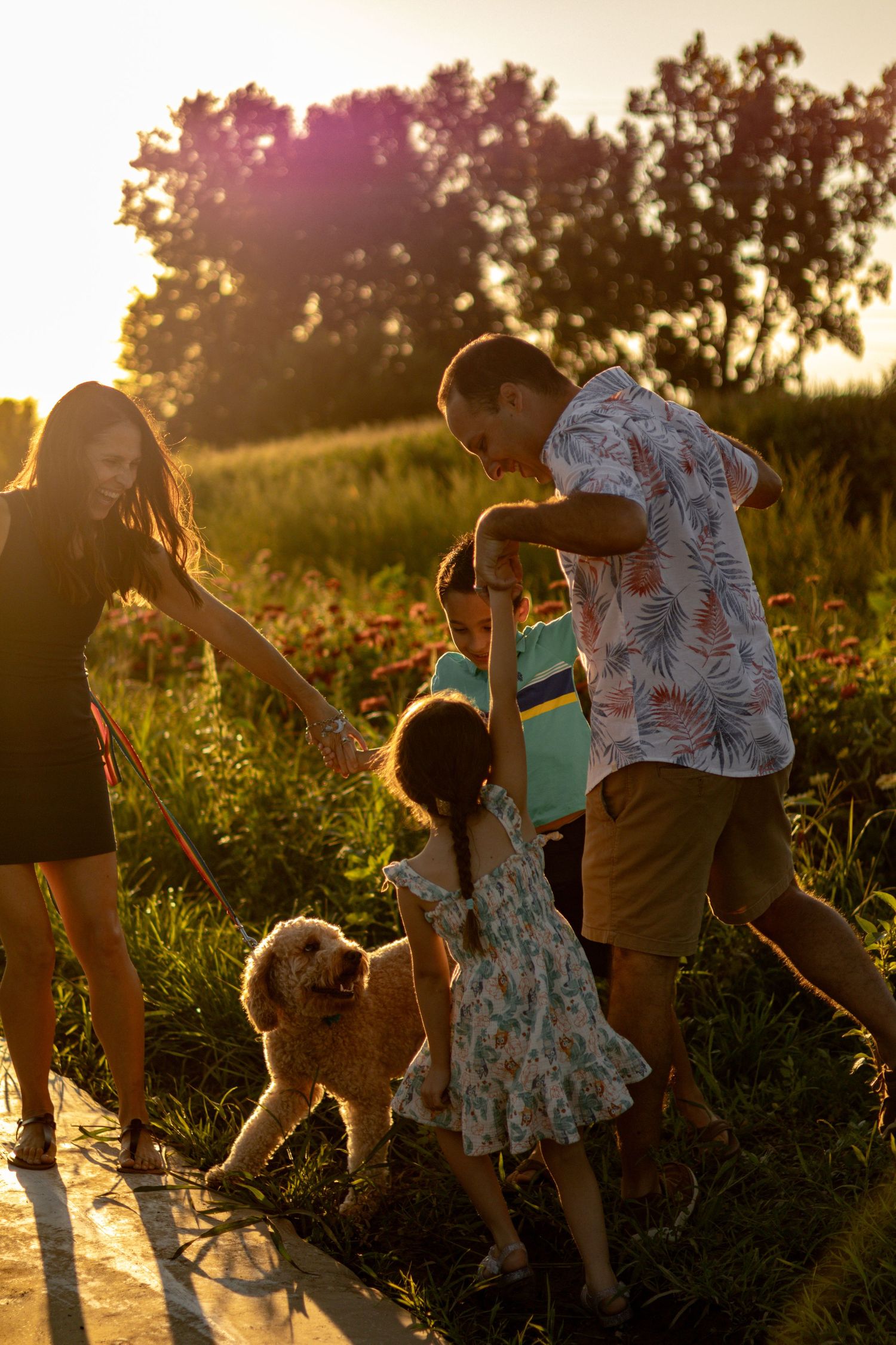 A family and their fluffy dog enjoy a playful moment together in a sunlit field at golden hour.