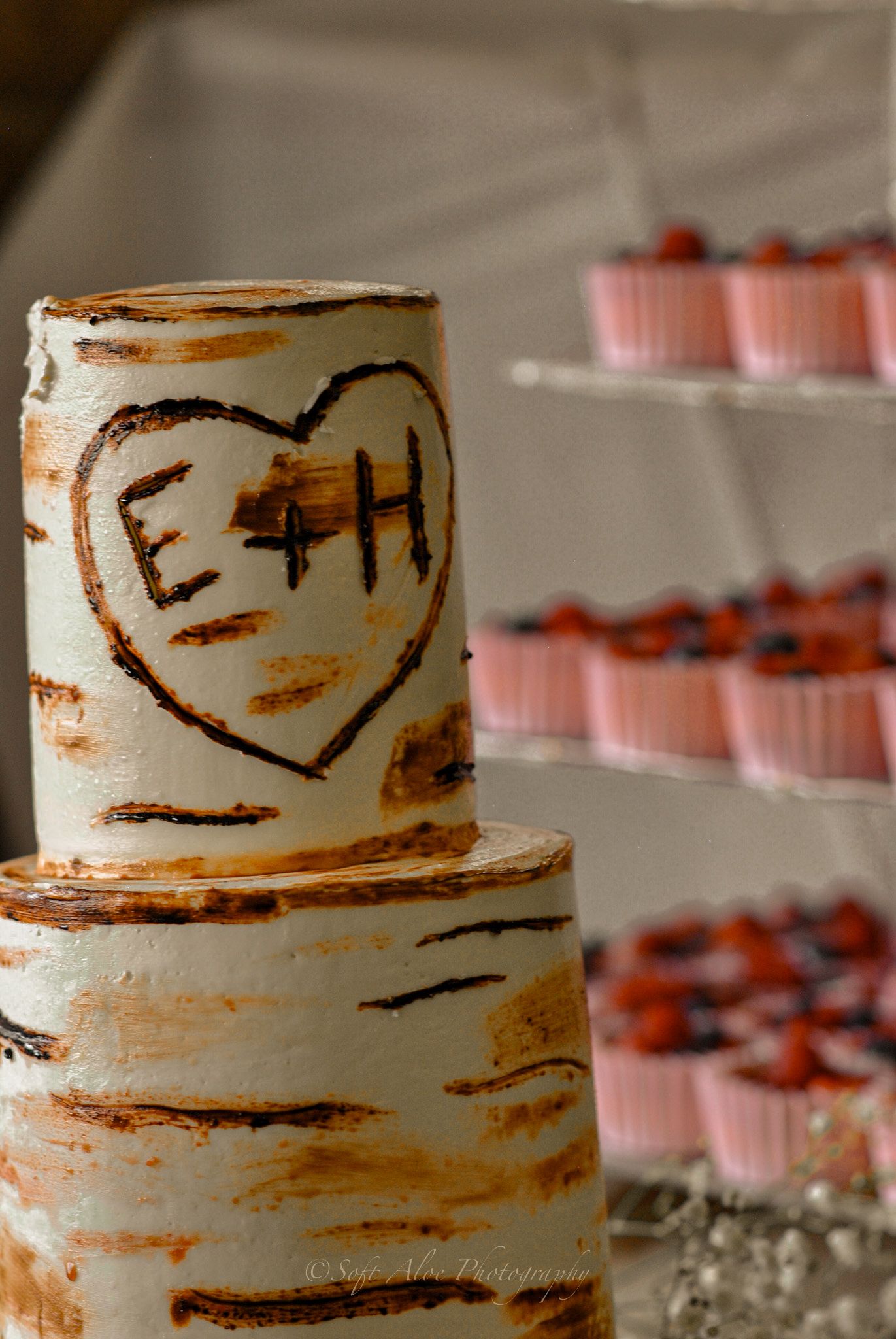 Rustic white birch-inspired wedding cake with textured frosting and natural bark patterns.