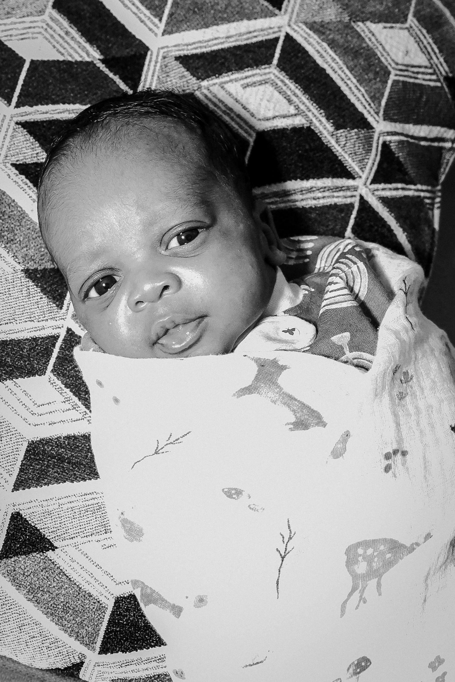 Black and white portrait of a newborn baby swaddled in a white blanket with animal prints, lying on a patterned surface.