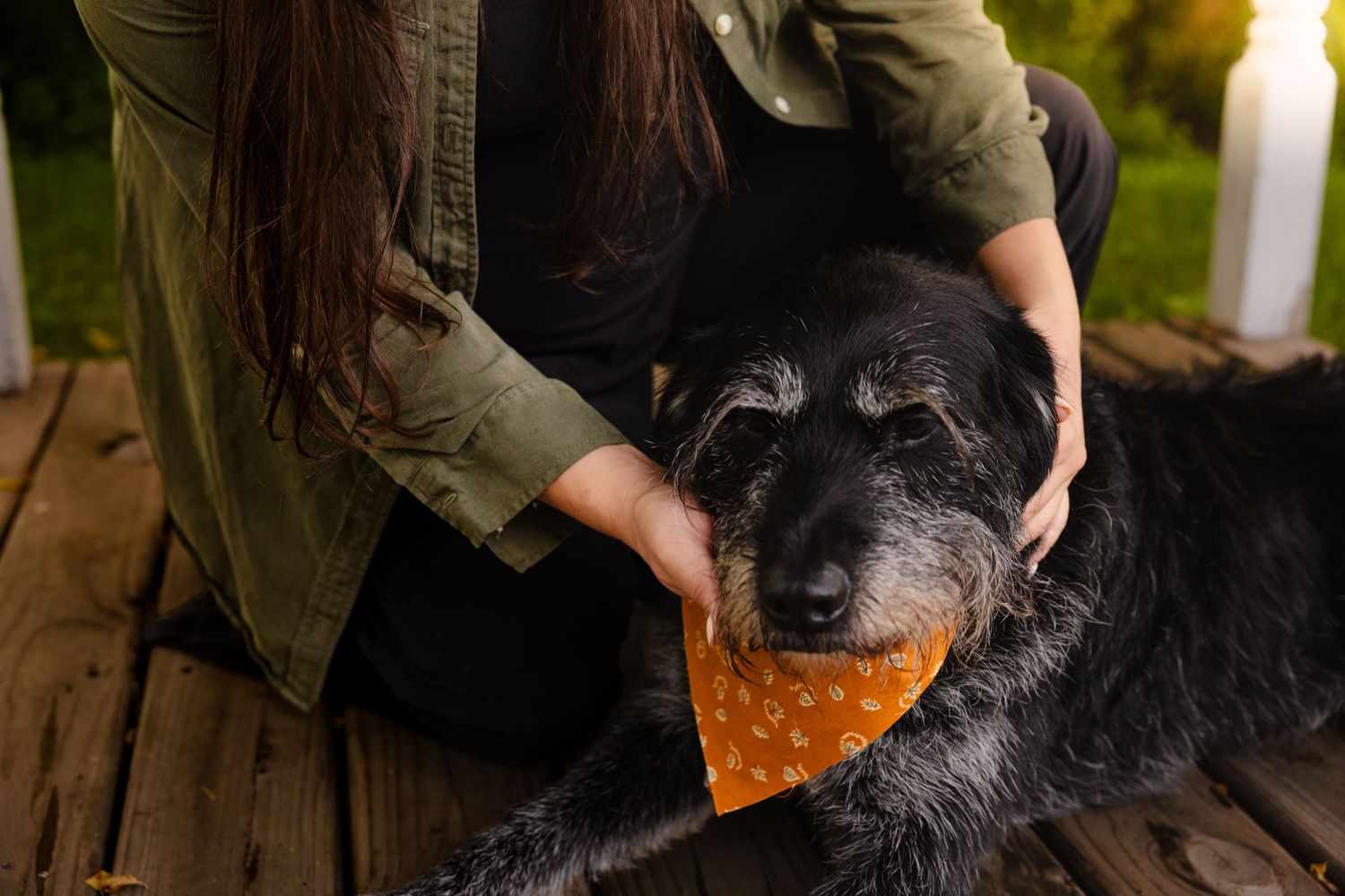 A woman in a green jacket pets a large black and gray dog wearing an orange bandana on a wooden deck outdoors.